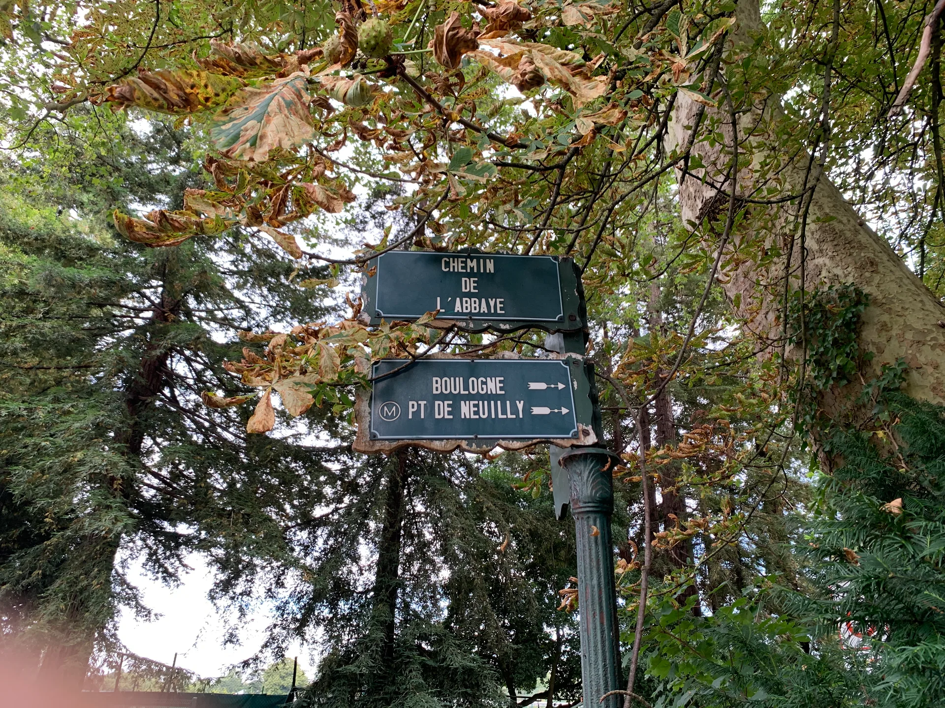 Etang de l'Abbaye à Paris — Sur le lac