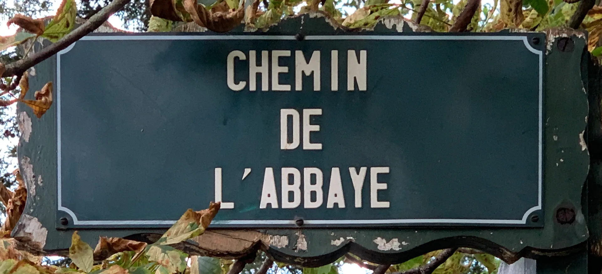 Etang de l'Abbaye à Paris — Sur le lac