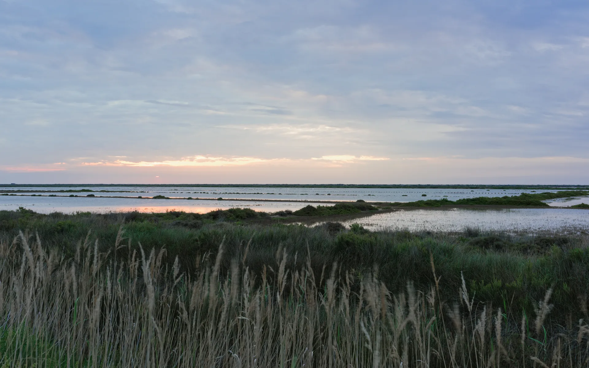 Étang de l'Ayrolle — À 4,3 km du lac