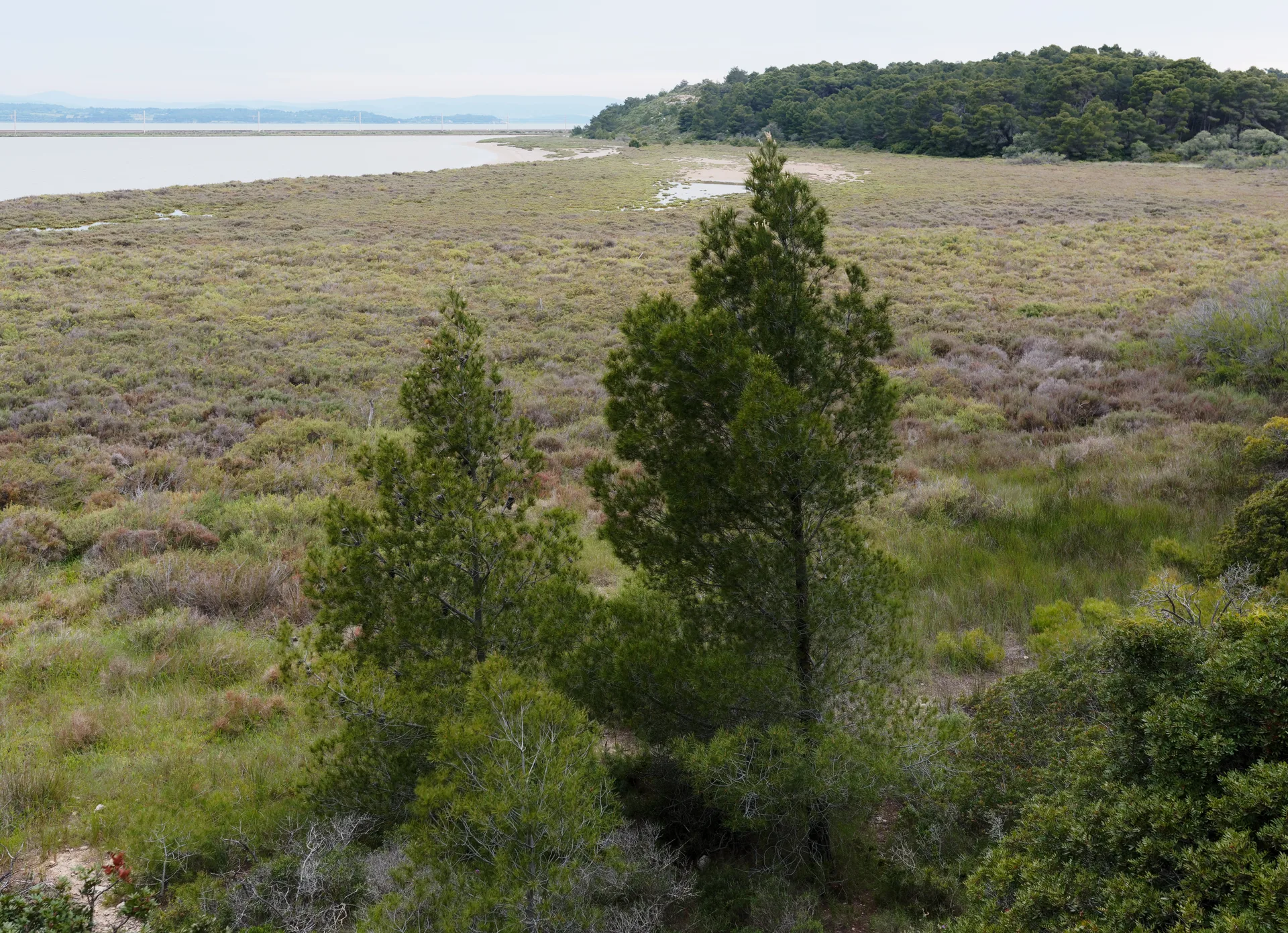 Étang de l'Ayrolle — À 4,8 km du lac