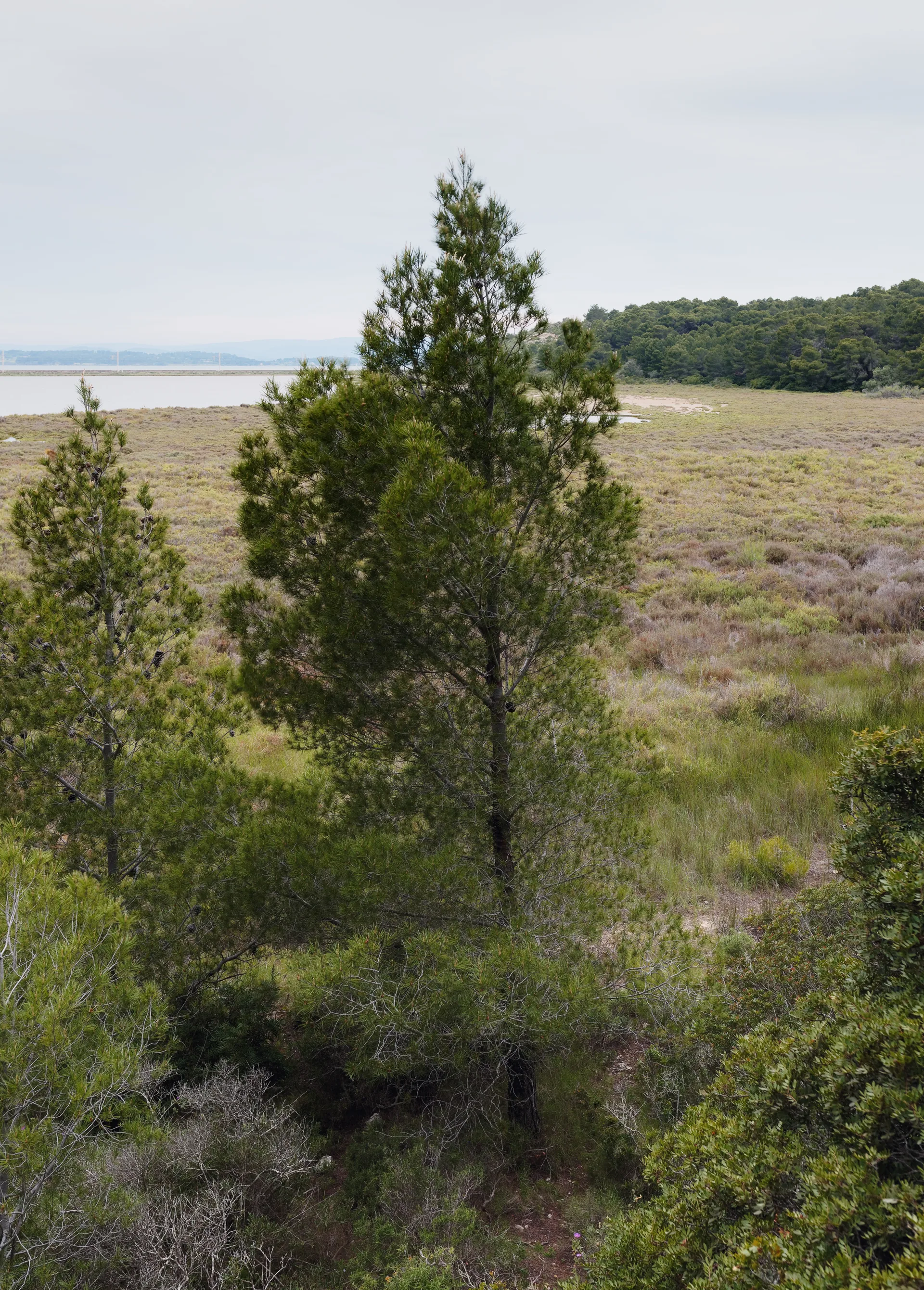 Étang de l'Ayrolle — À 4,8 km du lac