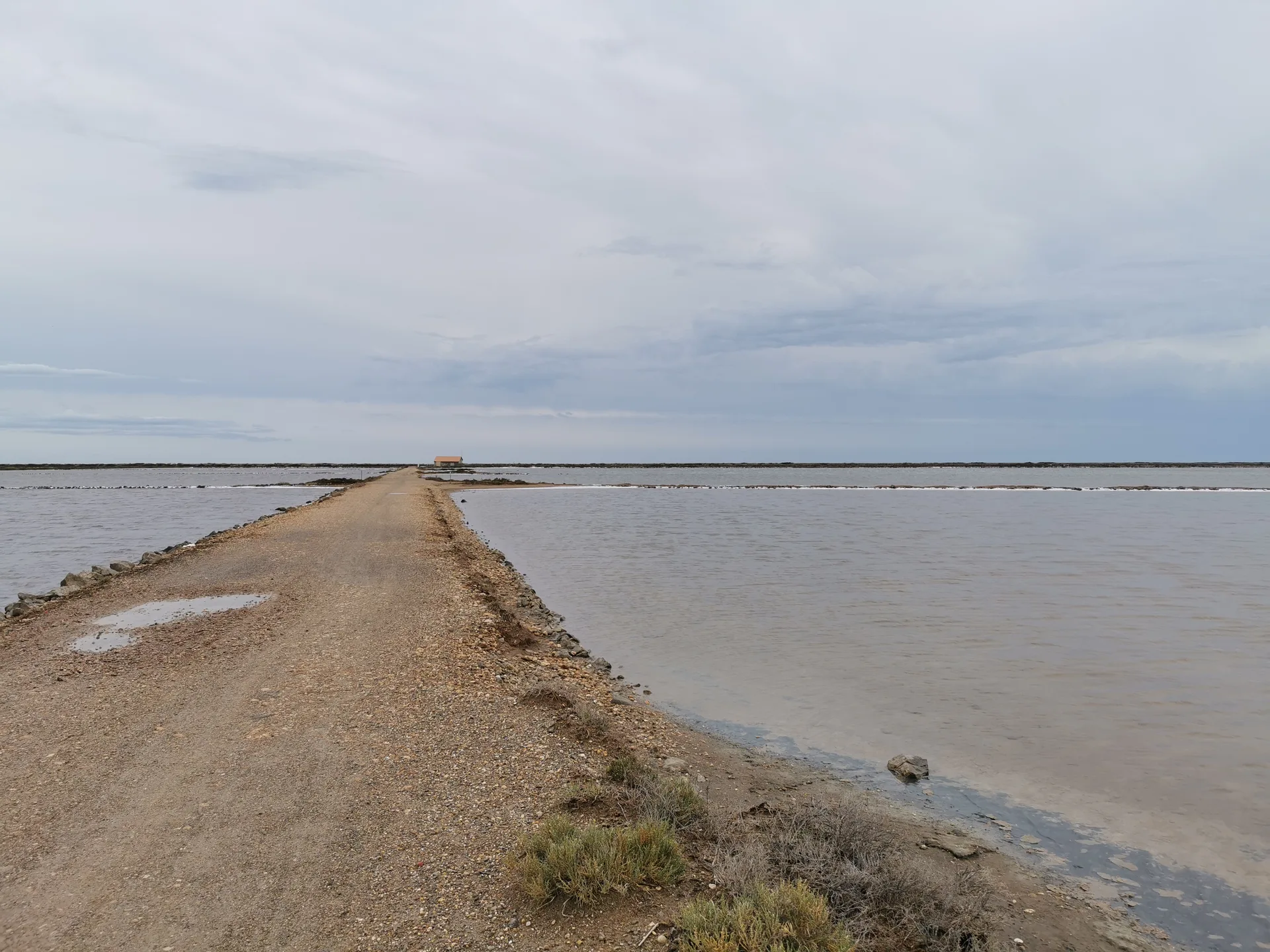 Étang de l'Ayrolle — À 4,2 km du lac