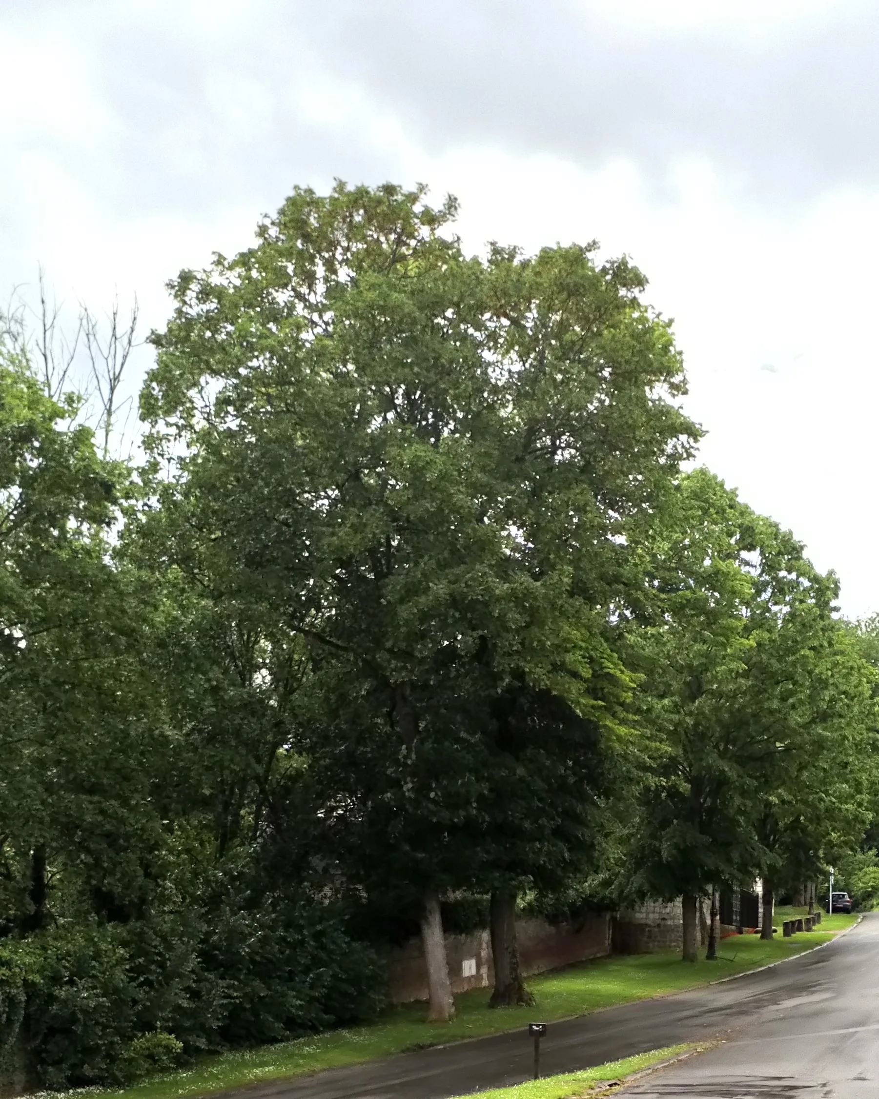Etang de l Ecluse à Éclusier-Vaux — À 1,9 km du lac