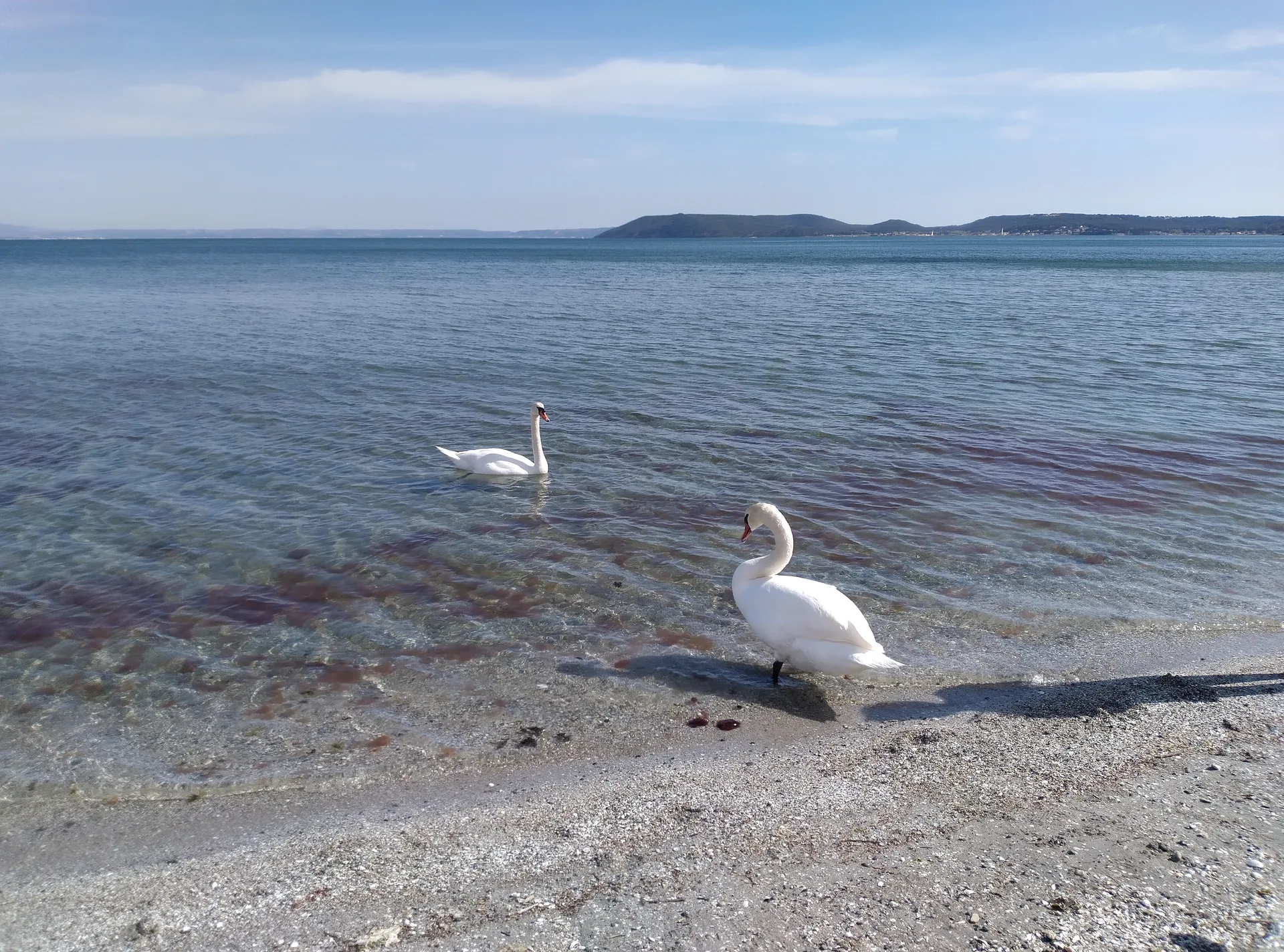 Etang de L olivier à Istres — À 1,9 km du lac