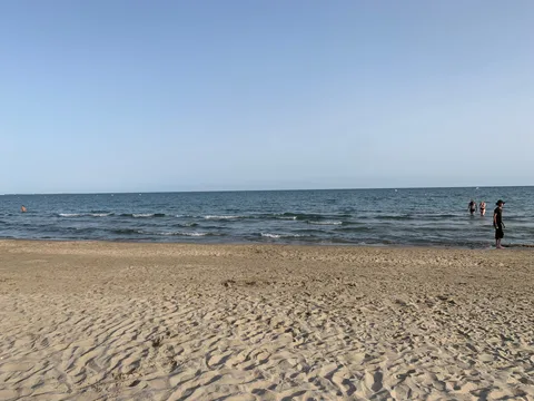 Étang de l'Or