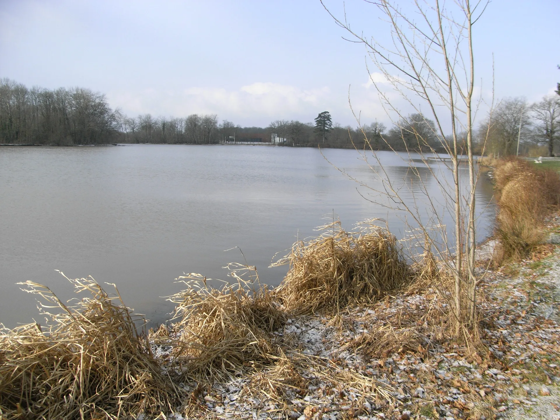 Etang de La Blouere à Beaupréau-en-Mauges — À 2,9 km du lac