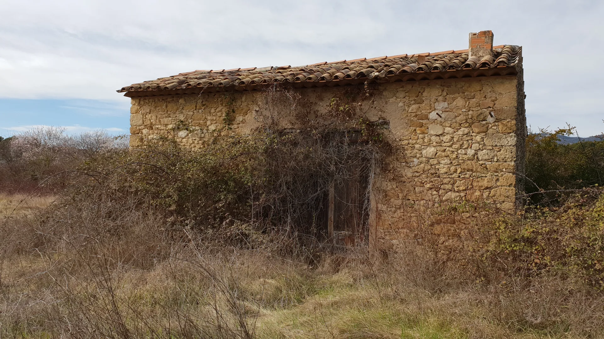 Etang de la Bonde à Cabrières-d'Aigues — À 1,4 km du lac