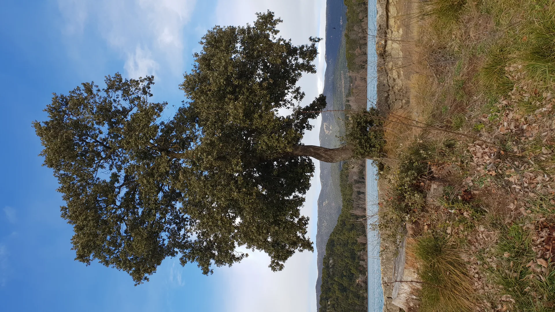 Etang de la Bonde à Cabrières-d'Aigues — À 591 m du lac