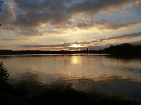 Etang de la Borniere