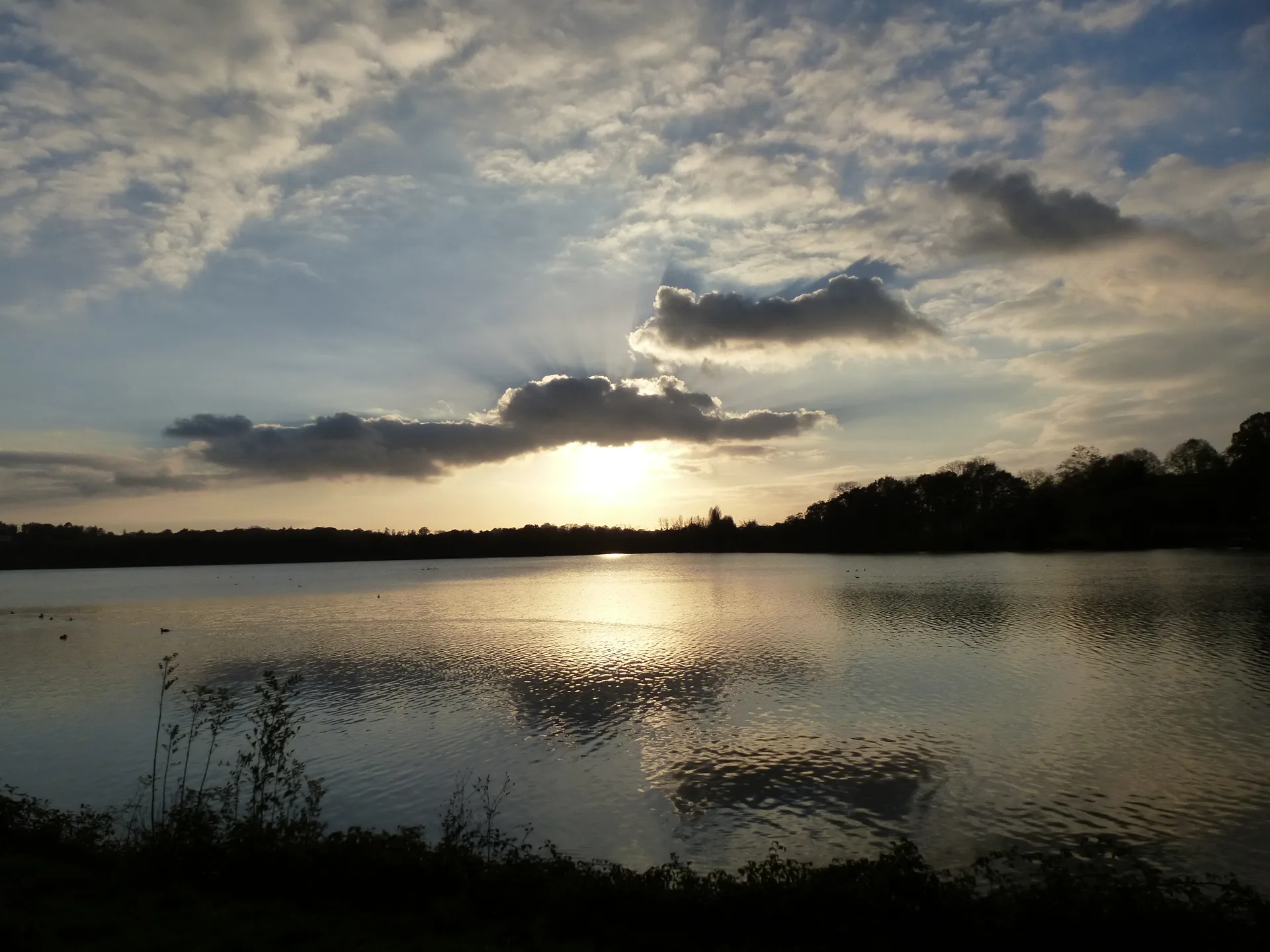 Etang de la Borniere à Bain-de-Bretagne — Sur le lac