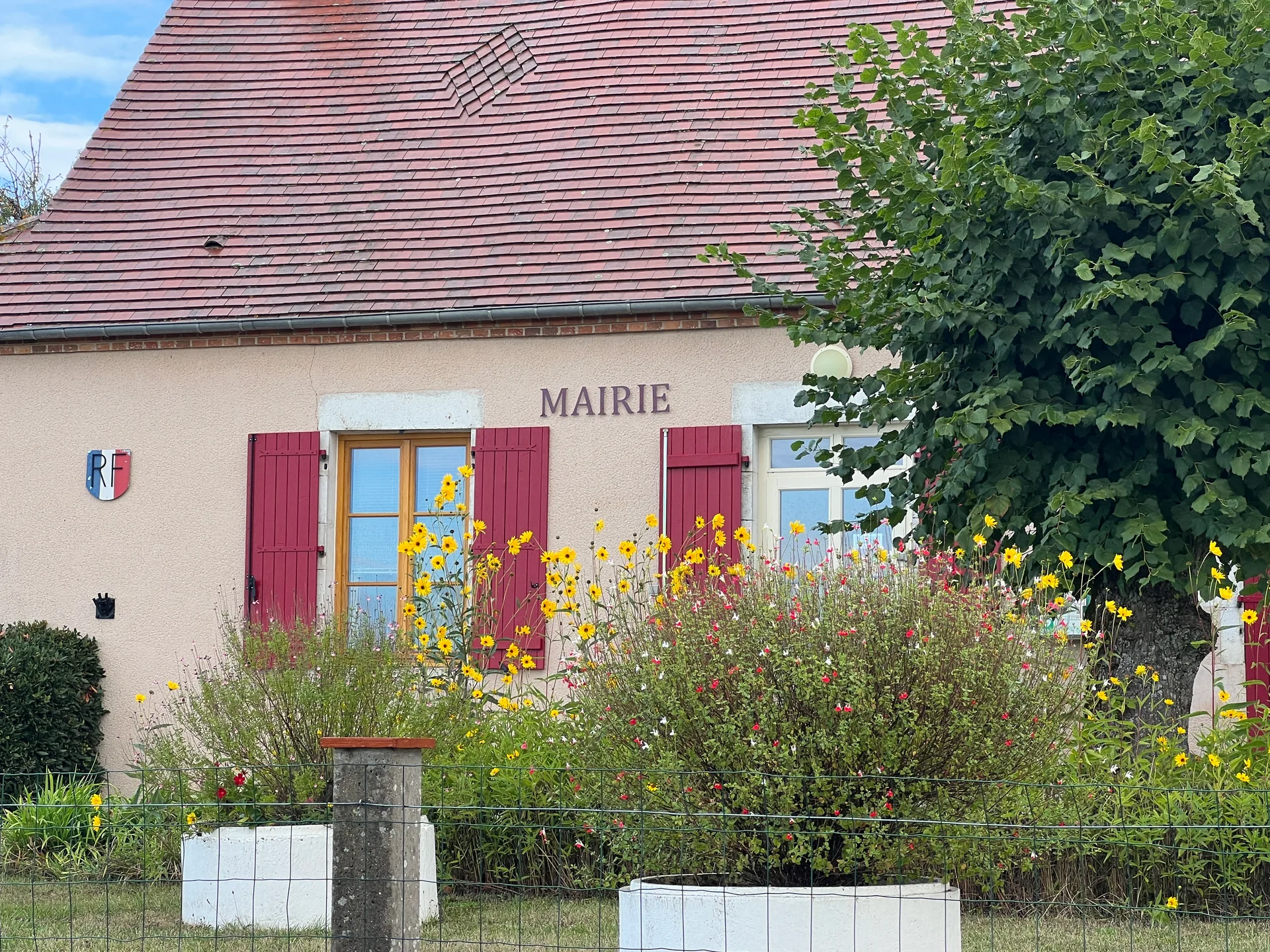 Etang de la Chapelle à Neuville-lès-Decize — À 2,9 km du lac