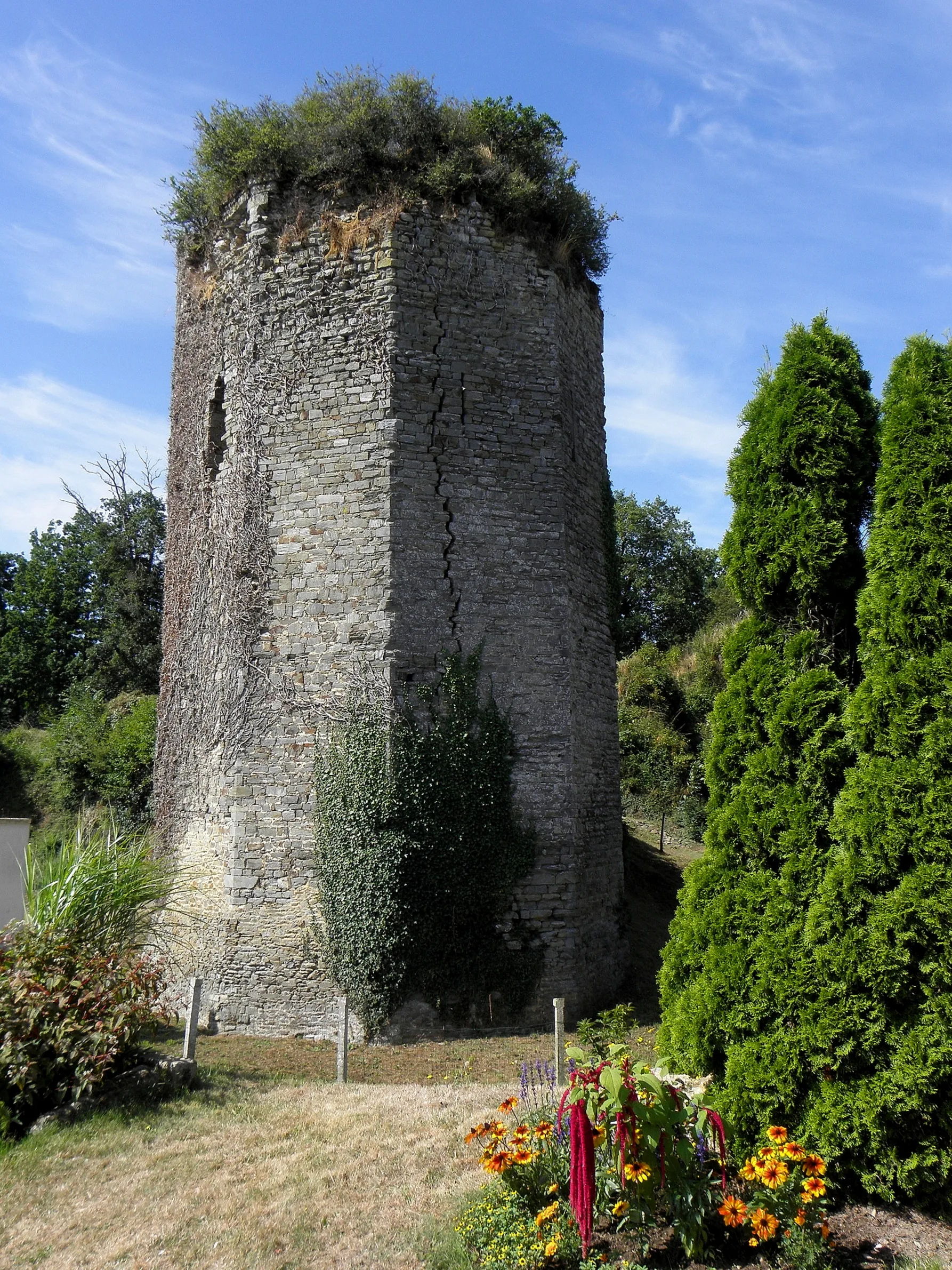 Etang de la Cheze à La Chèze — À 388 m du lac