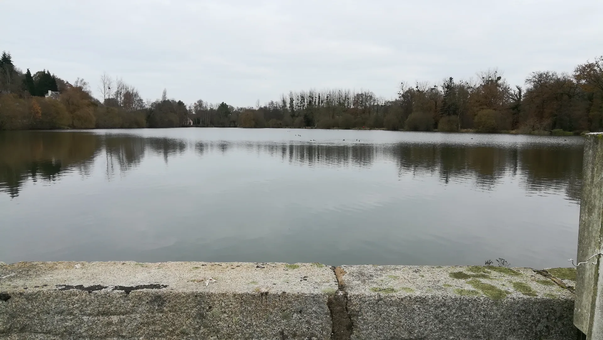 Etang de la Cheze à La Chèze — À 276 m du lac
