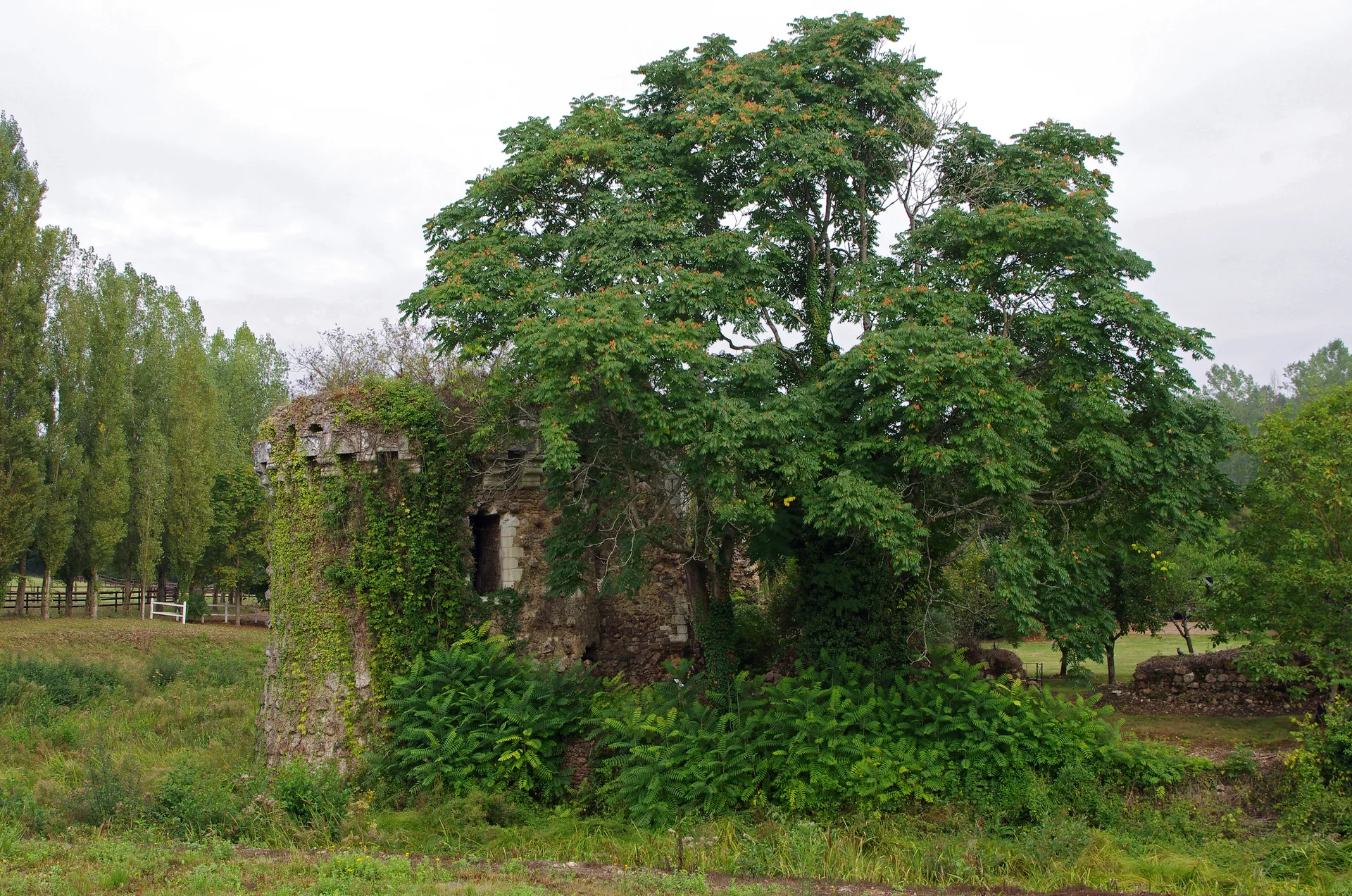 Etang de la Dame à Courcelles-de-Touraine — À 2,9 km du lac