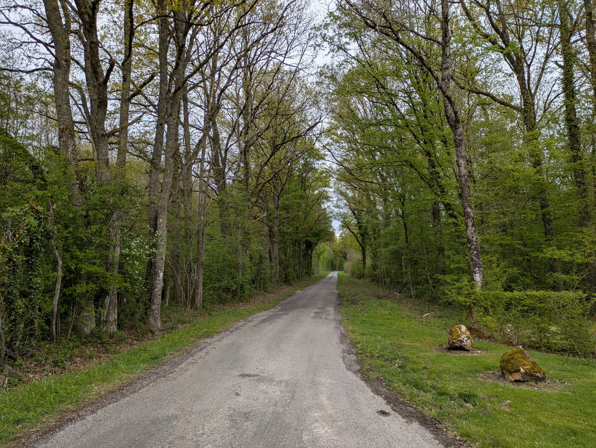 Etang de la Demoiselle à Brugny-Vaudancourt — À 4,5 km du lac