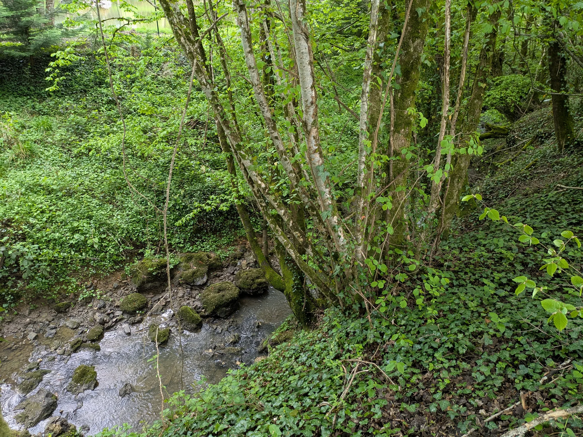 Etang de la Demoiselle à Brugny-Vaudancourt — À 2,8 km du lac