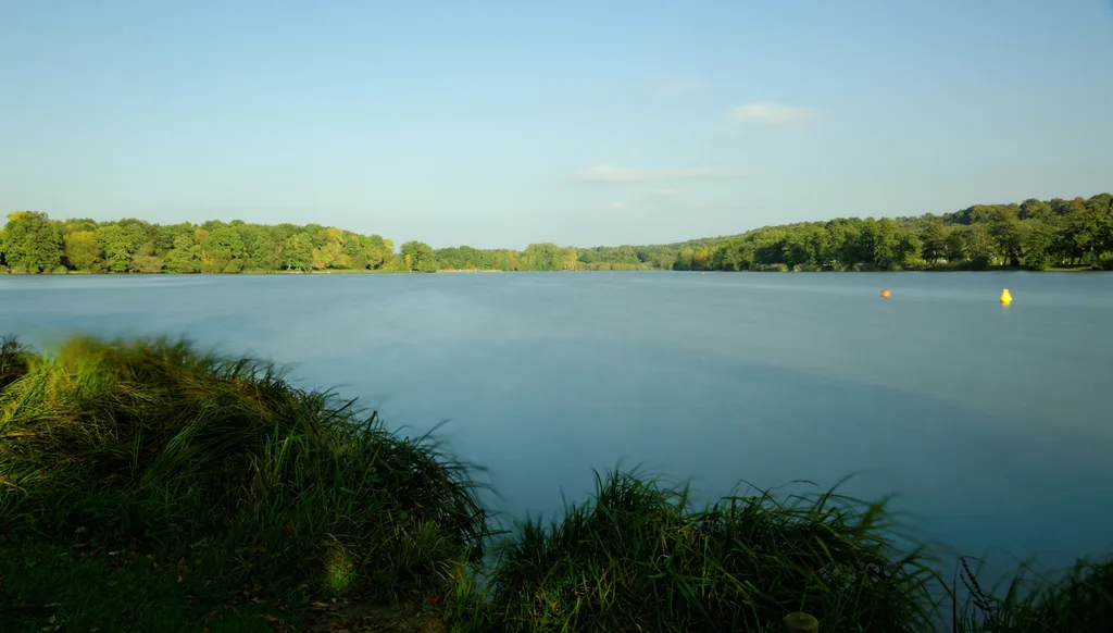 Etang de la Forge, Belfort