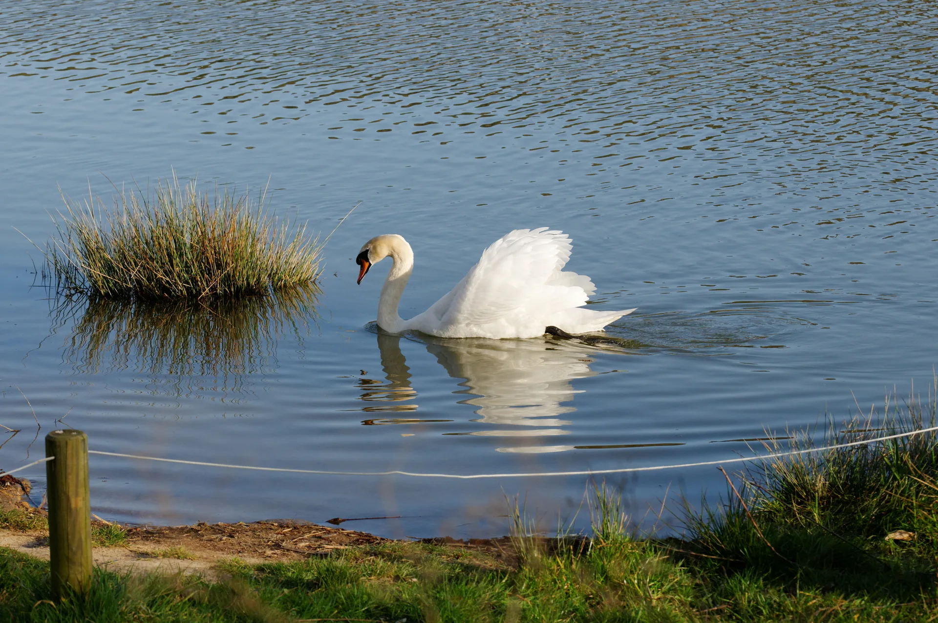 Etang de la Forge à Belfort — Sur le lac