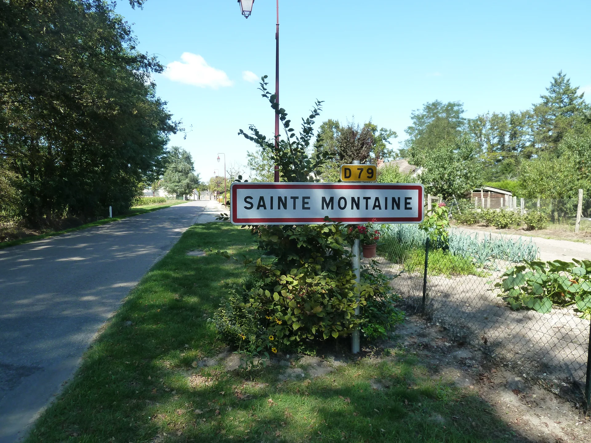 Etang de la Futaie à Sainte-Montaine — À 3,2 km du lac