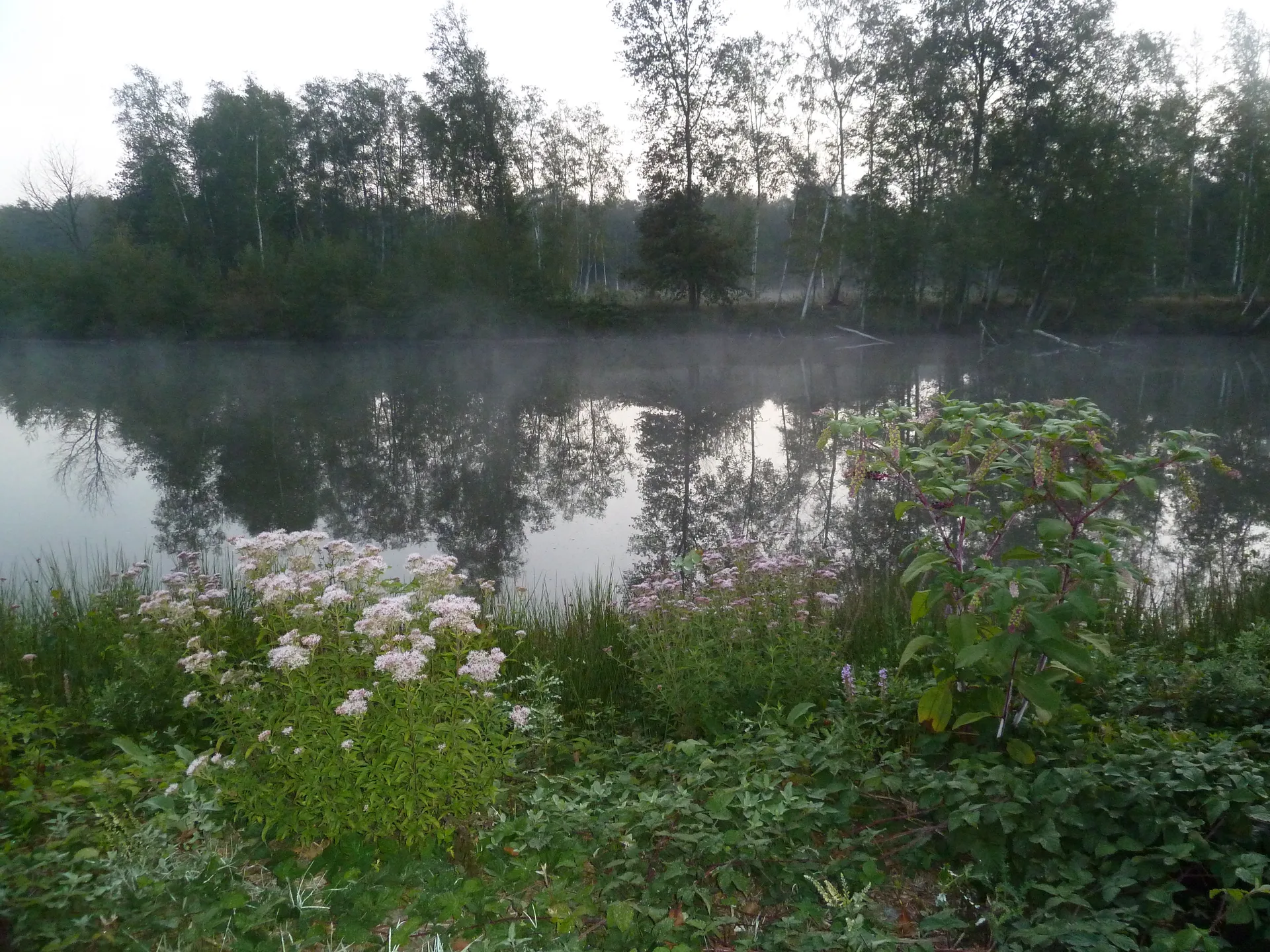 Etang de la Futaie à Sainte-Montaine — À 3,6 km du lac