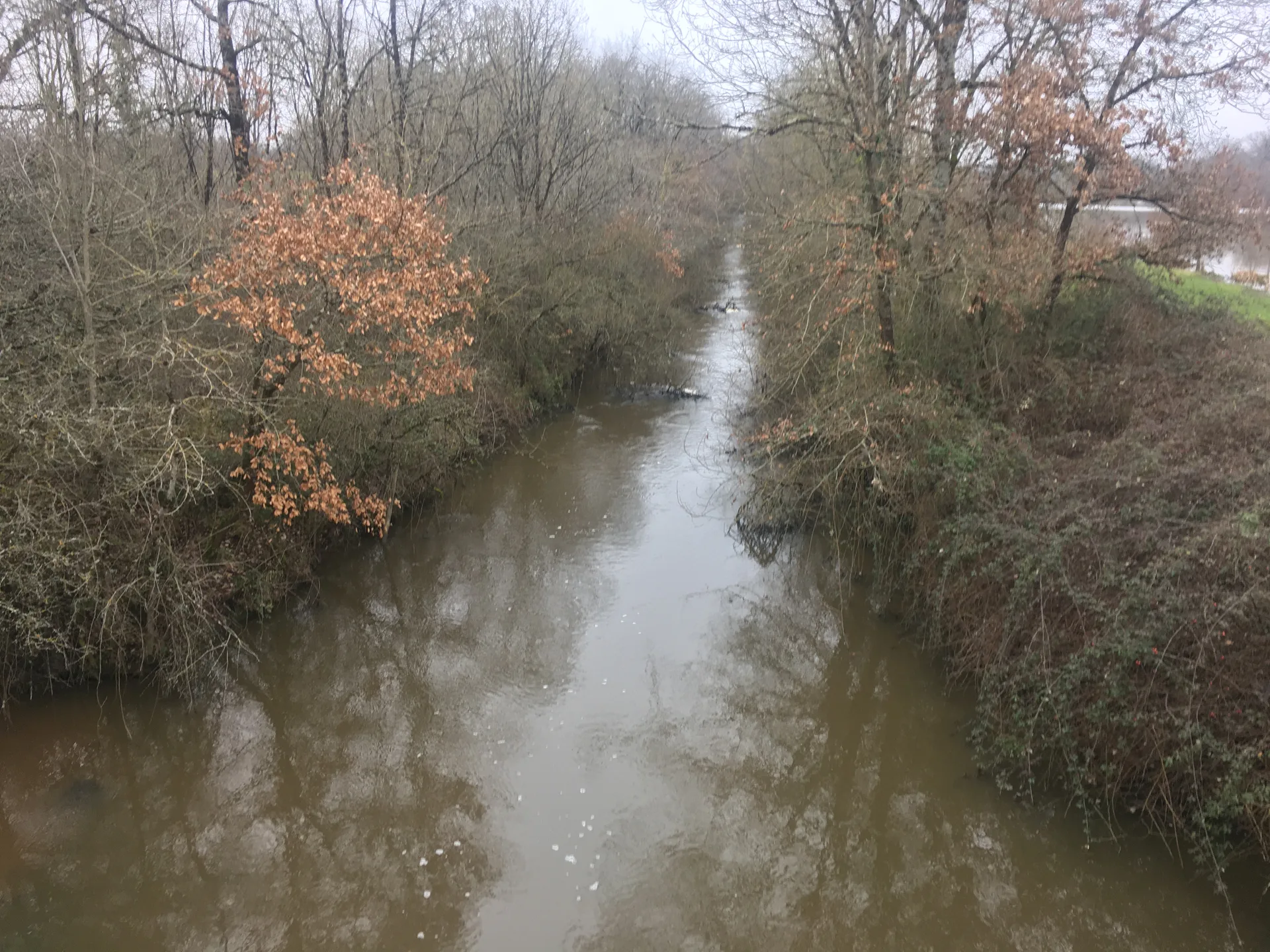 Etang de la Gabriere à Lingé — À 4,5 km du lac