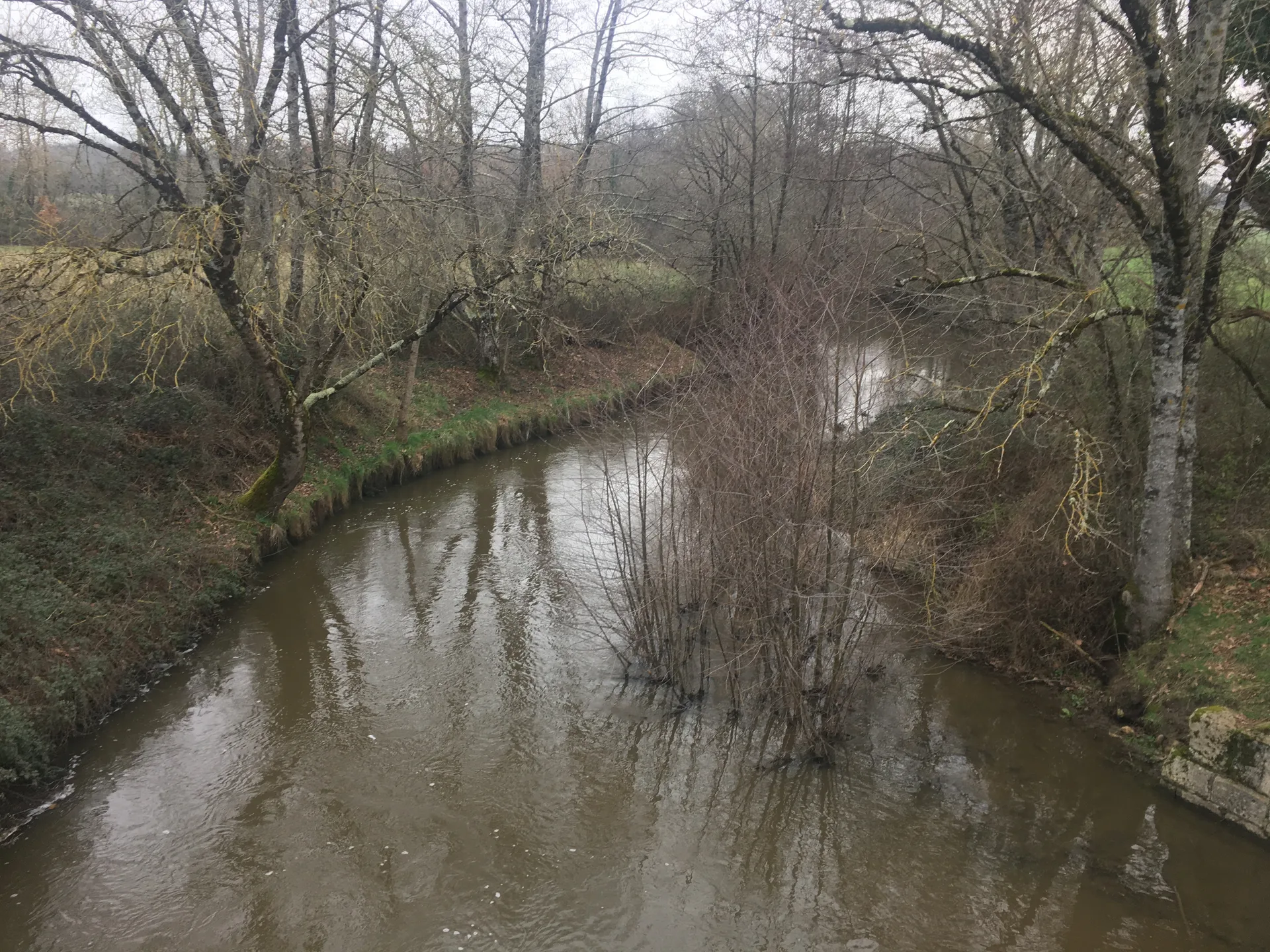 Etang de la Gabriere à Lingé — À 4,5 km du lac