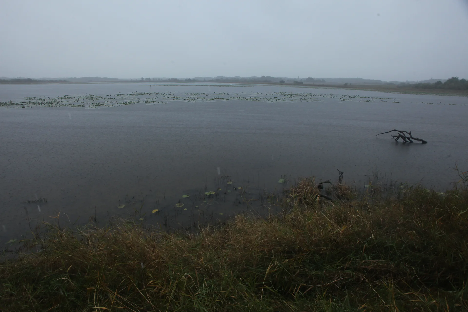 Etang de la Gabriere à Lingé — À 4,8 km du lac
