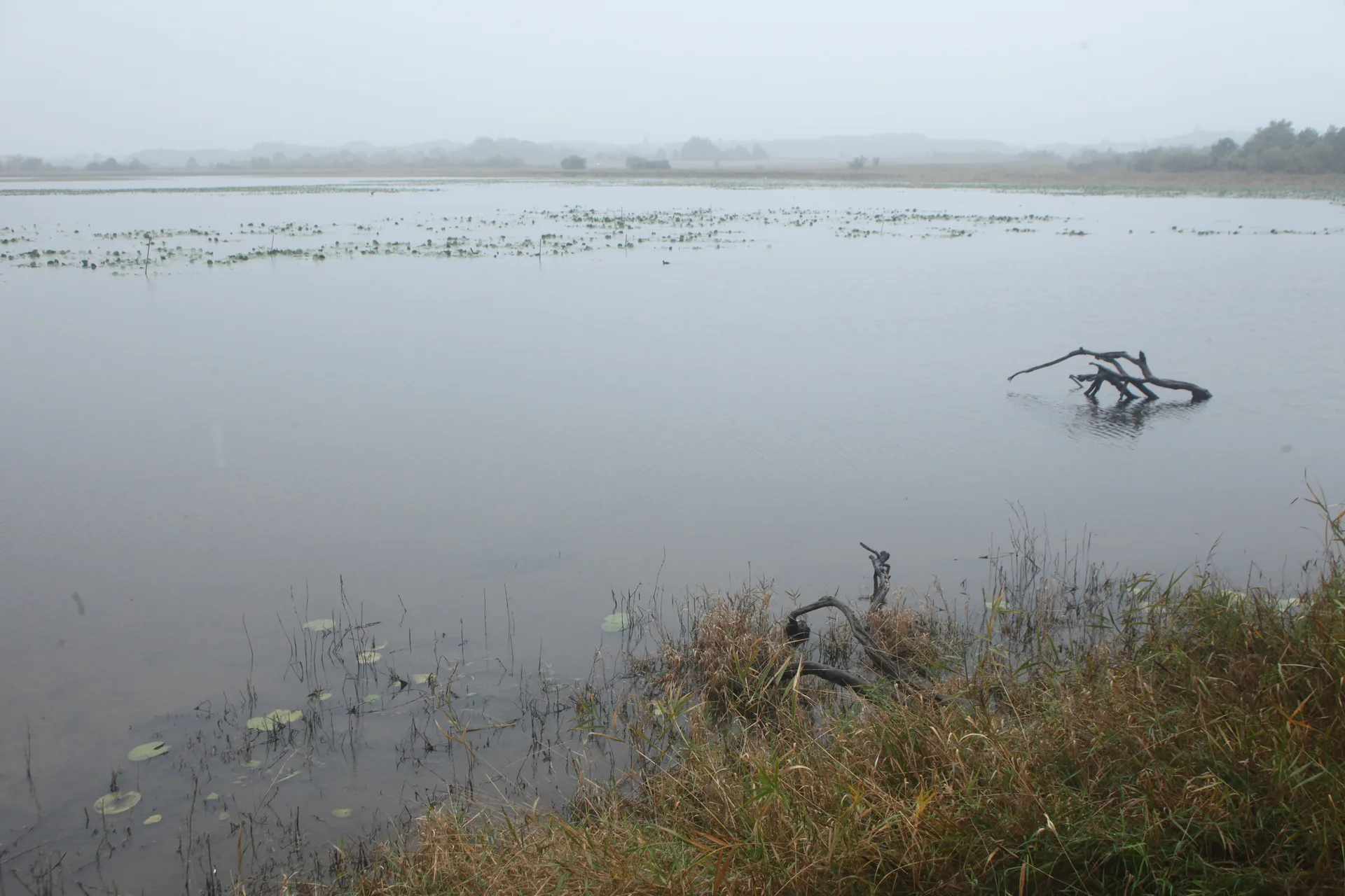 Etang de la Gabriere à Lingé — À 4,8 km du lac