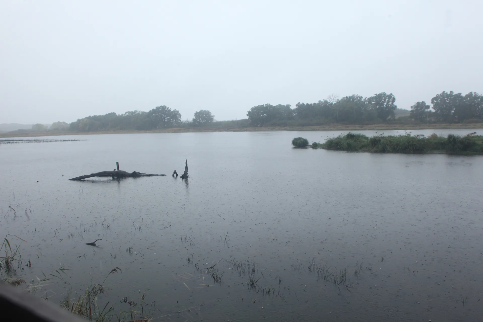 Etang de la Gabriere à Lingé — À 3,7 km du lac