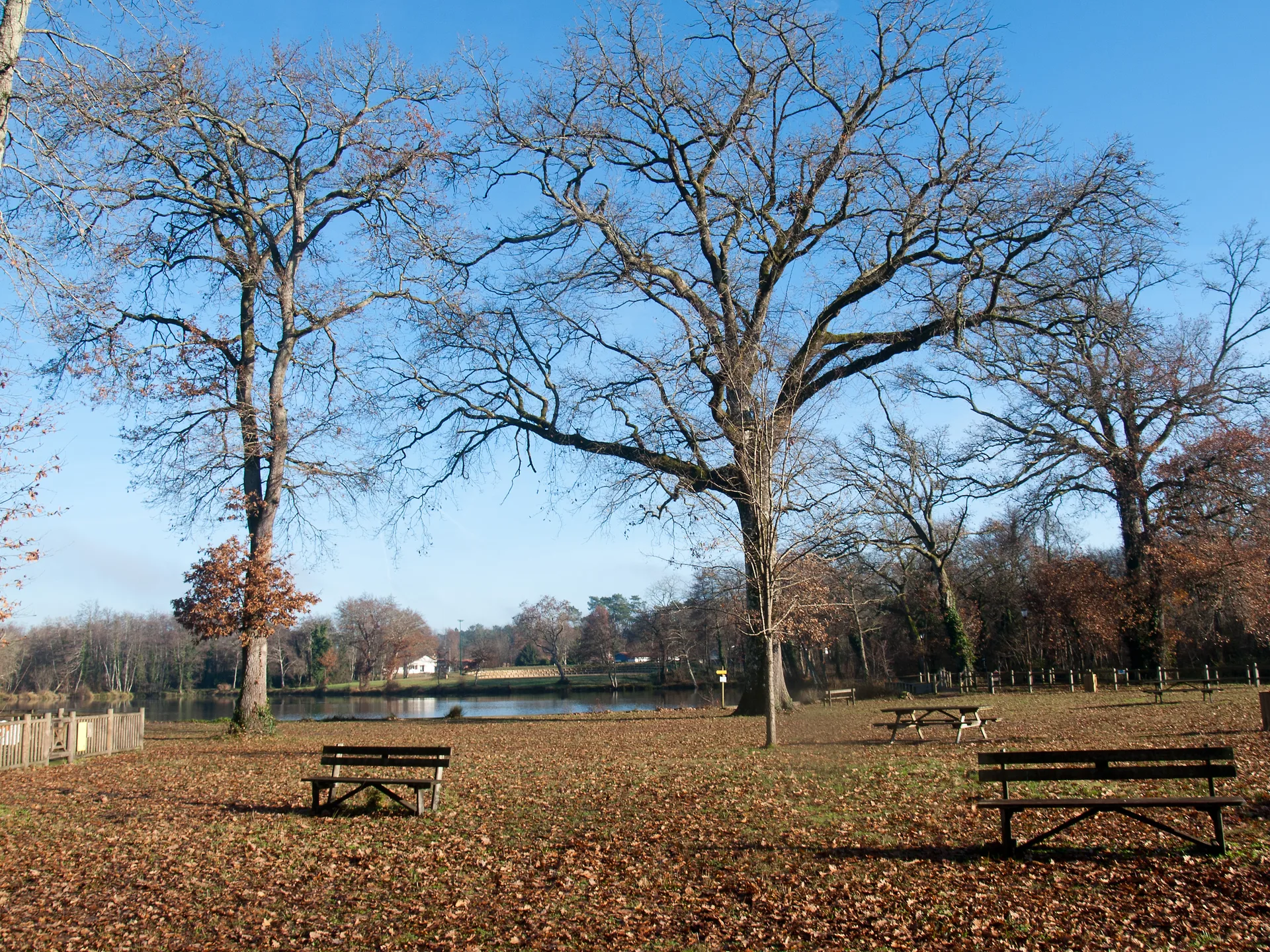 Etang de la Glaciere à Pontonx-sur-l'Adour — À 1,5 km du lac