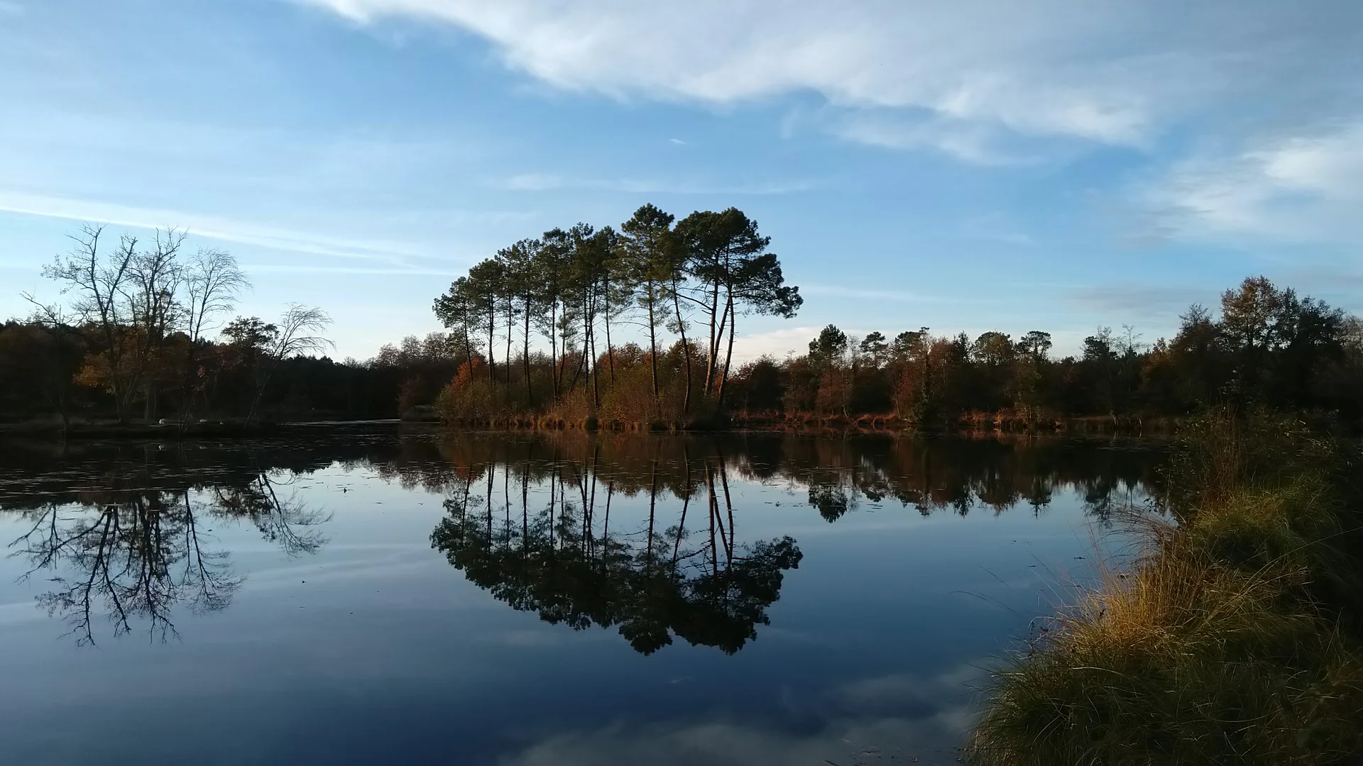 Etang de la Glaciere à Pontonx-sur-l'Adour — À 1,4 km du lac