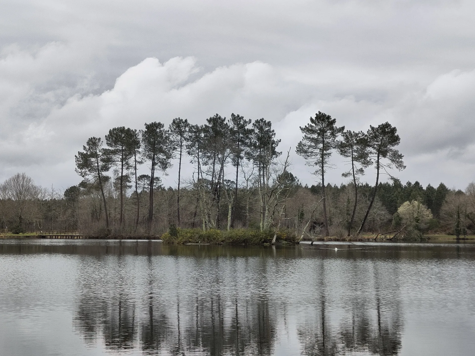 Etang de la Glaciere à Pontonx-sur-l'Adour — À 1,5 km du lac