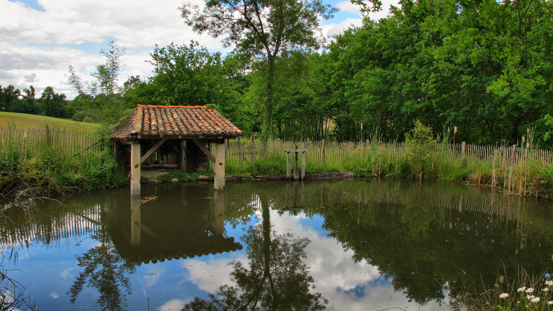 Etang de la Jemaye à La Jemaye-Ponteyraud — À 3,8 km du lac
