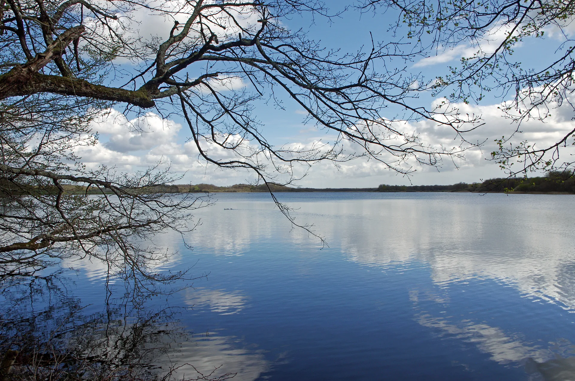 Etang de la mer rouge à Rosnay — À 1,2 km du lac