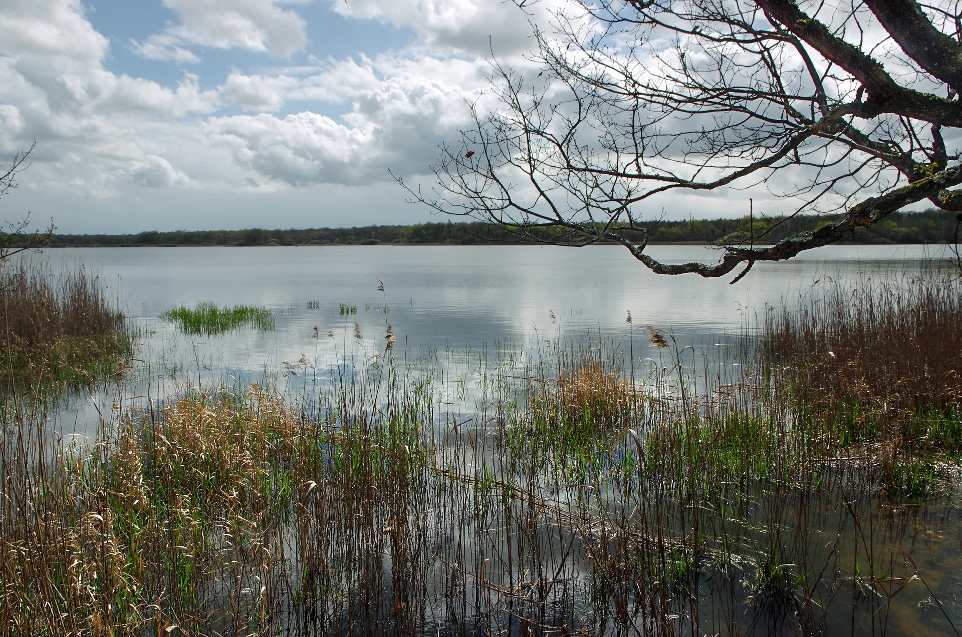 Etang de la mer rouge à Rosnay — À 809 m du lac