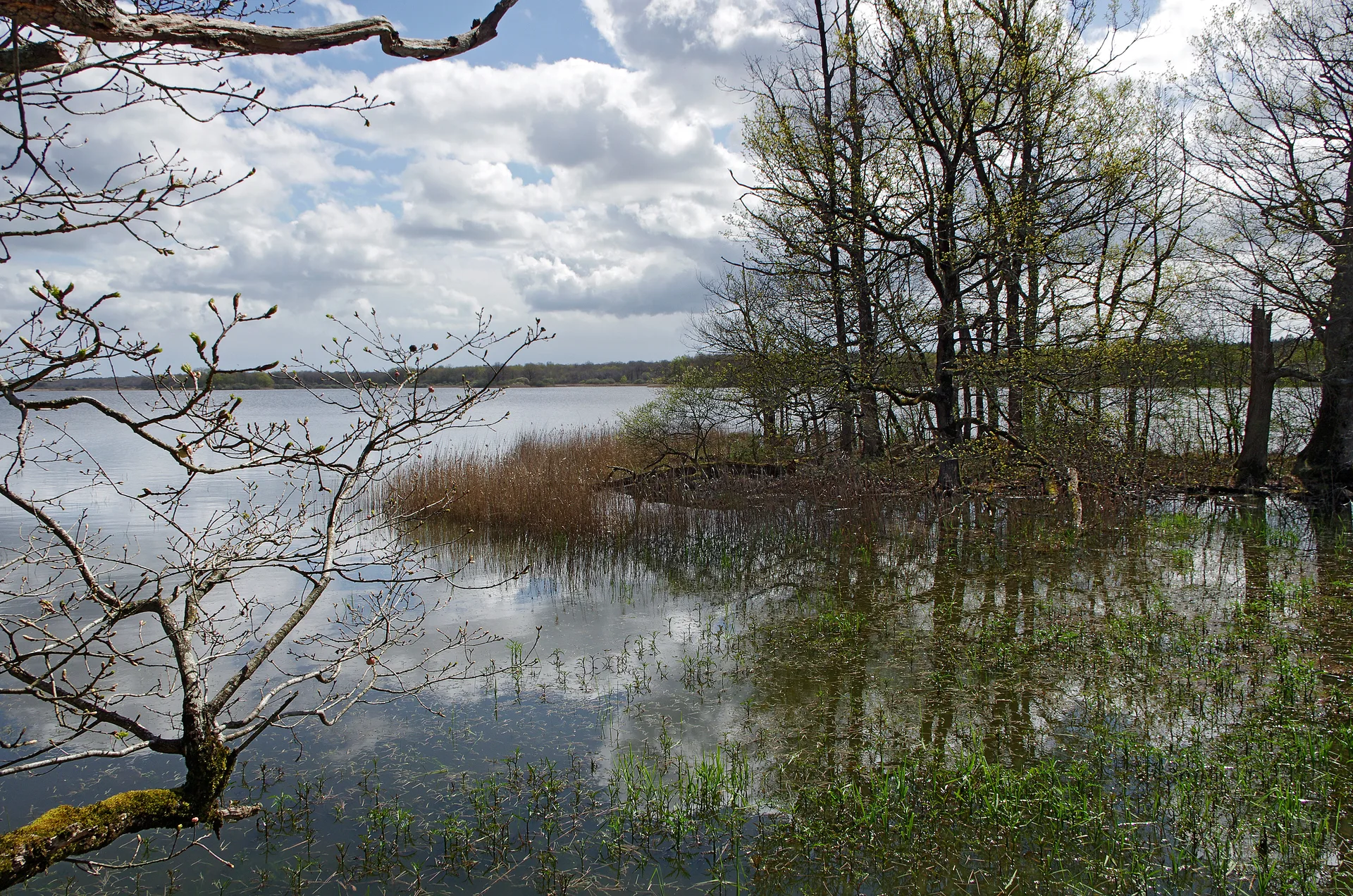 Etang de la mer rouge à Rosnay — À 896 m du lac