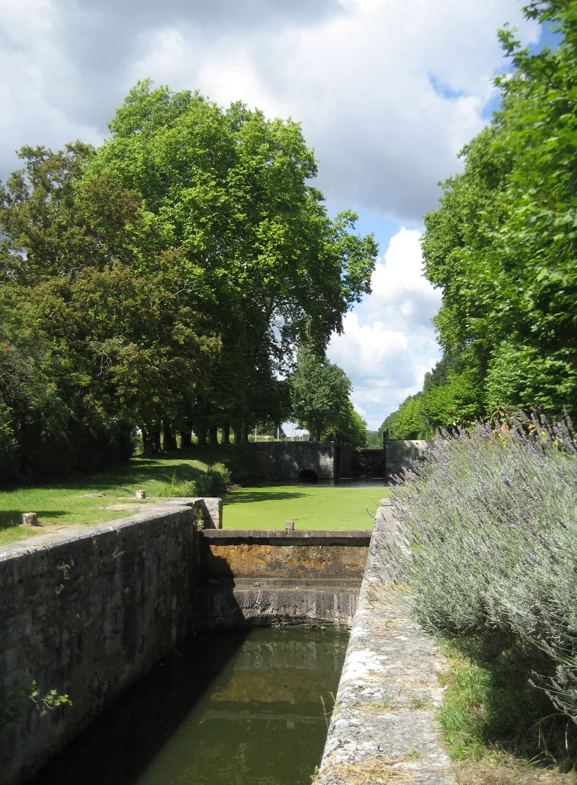 Etang de la Noue Mazone à Châtenoy — À 2,3 km du lac