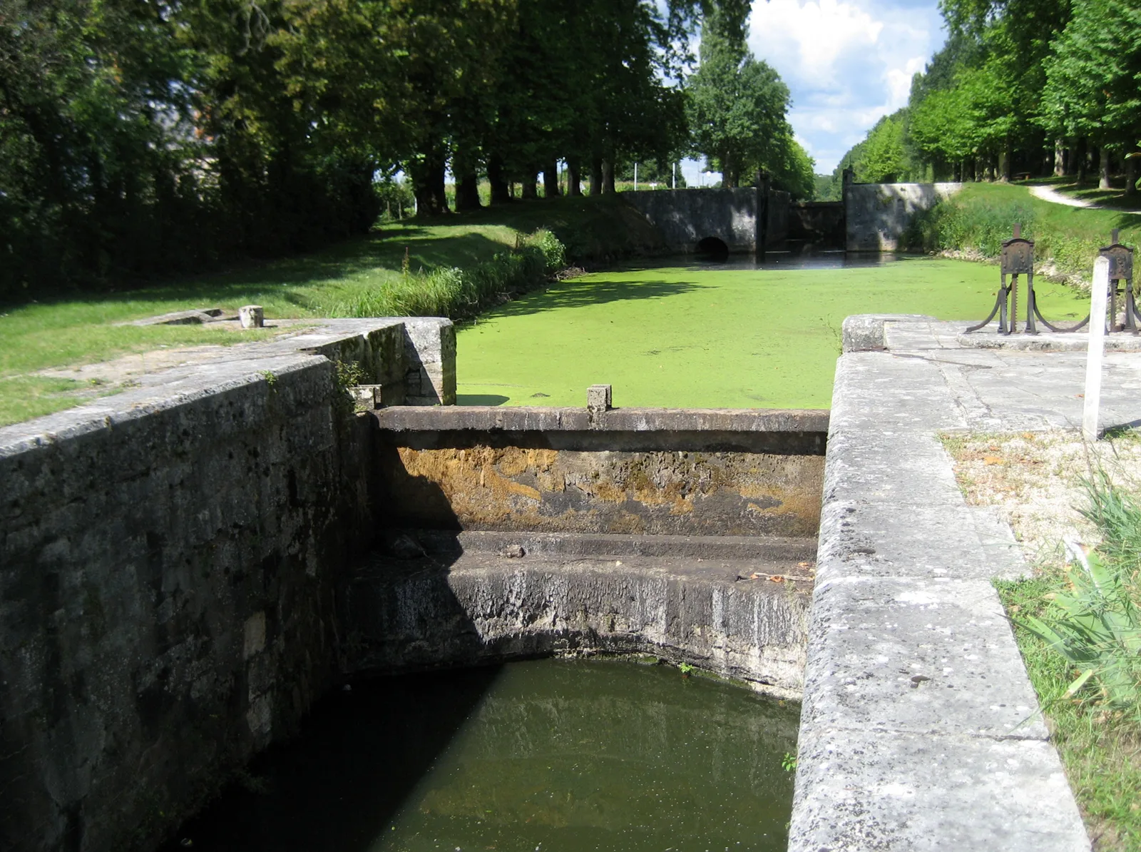 Etang de la Noue Mazone à Châtenoy — À 2,3 km du lac