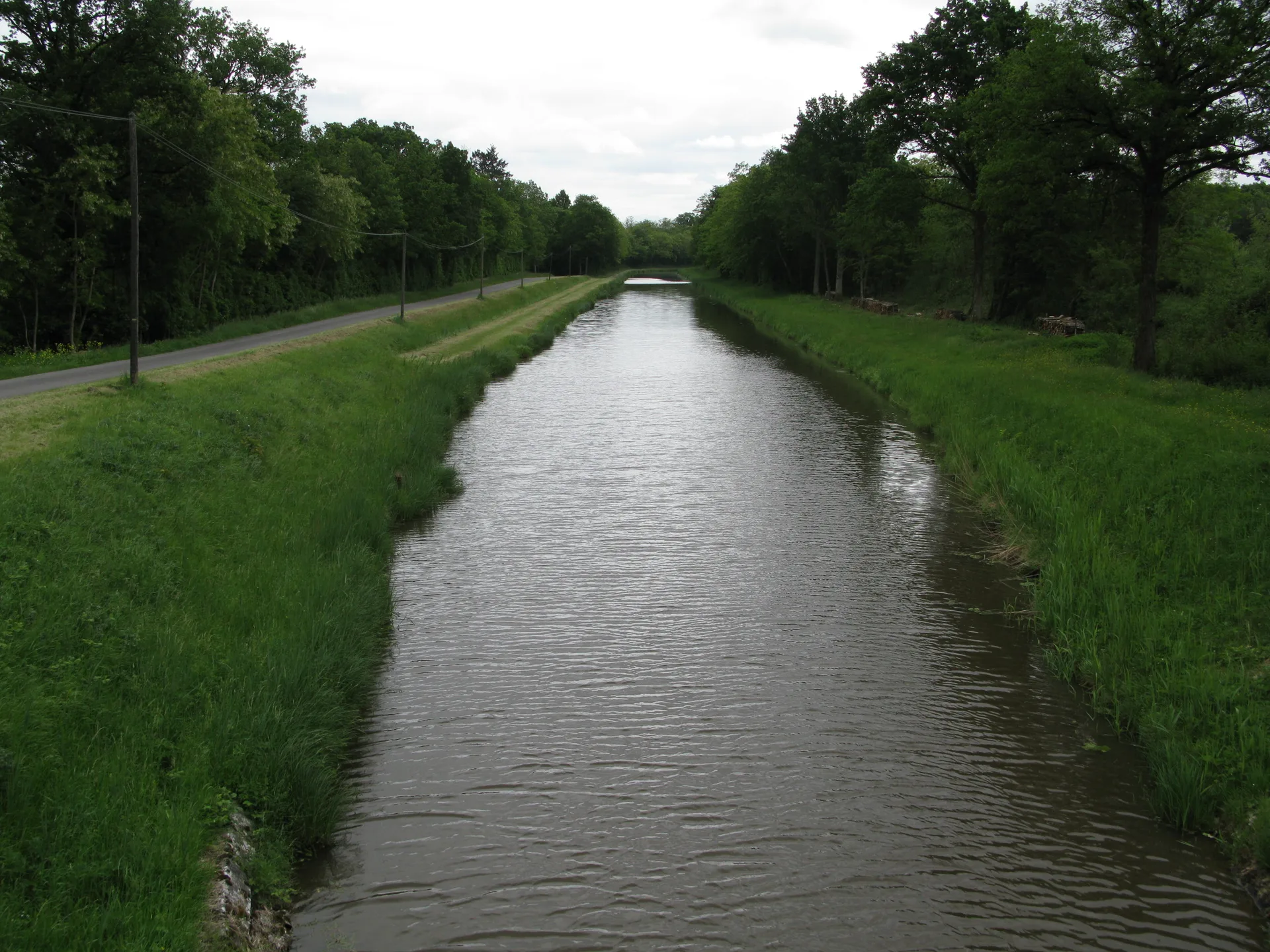 Etang de la Noue Mazone à Châtenoy — À 1,4 km du lac