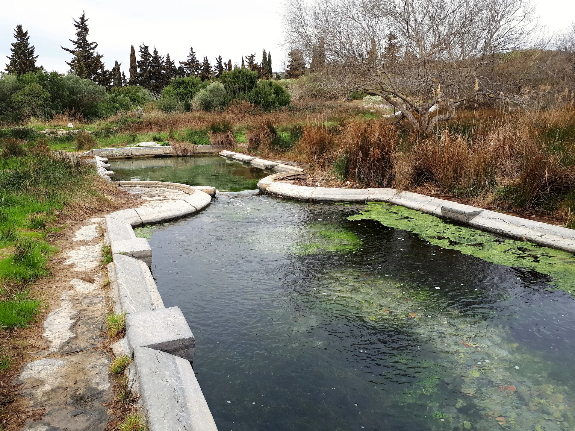 Étang de La Palme à La Palme — À 2,1 km du lac