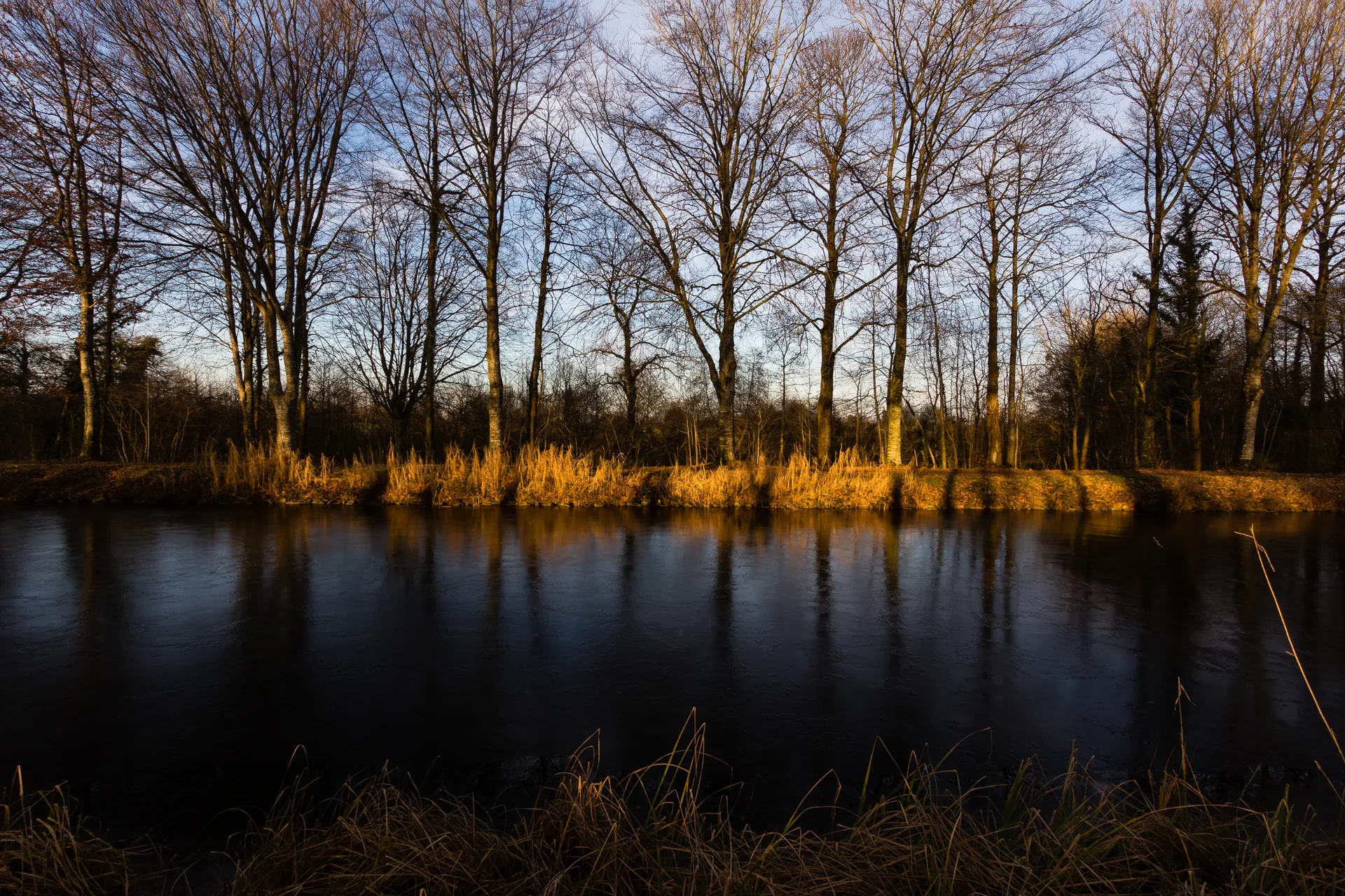 Etang de la Plouziere à Guipel — À 1,0 km du lac