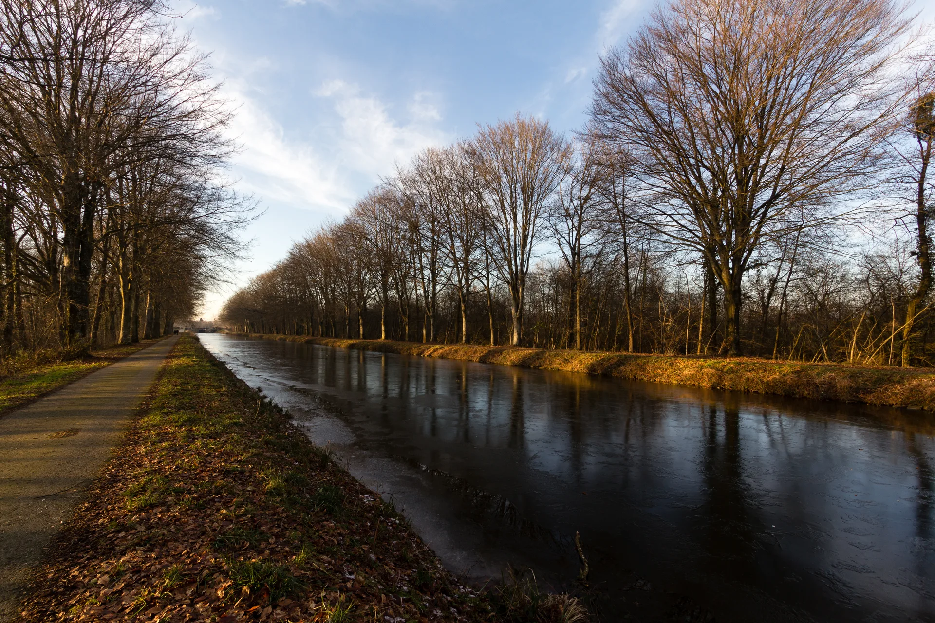 Etang de la Plouziere à Guipel — À 1,0 km du lac