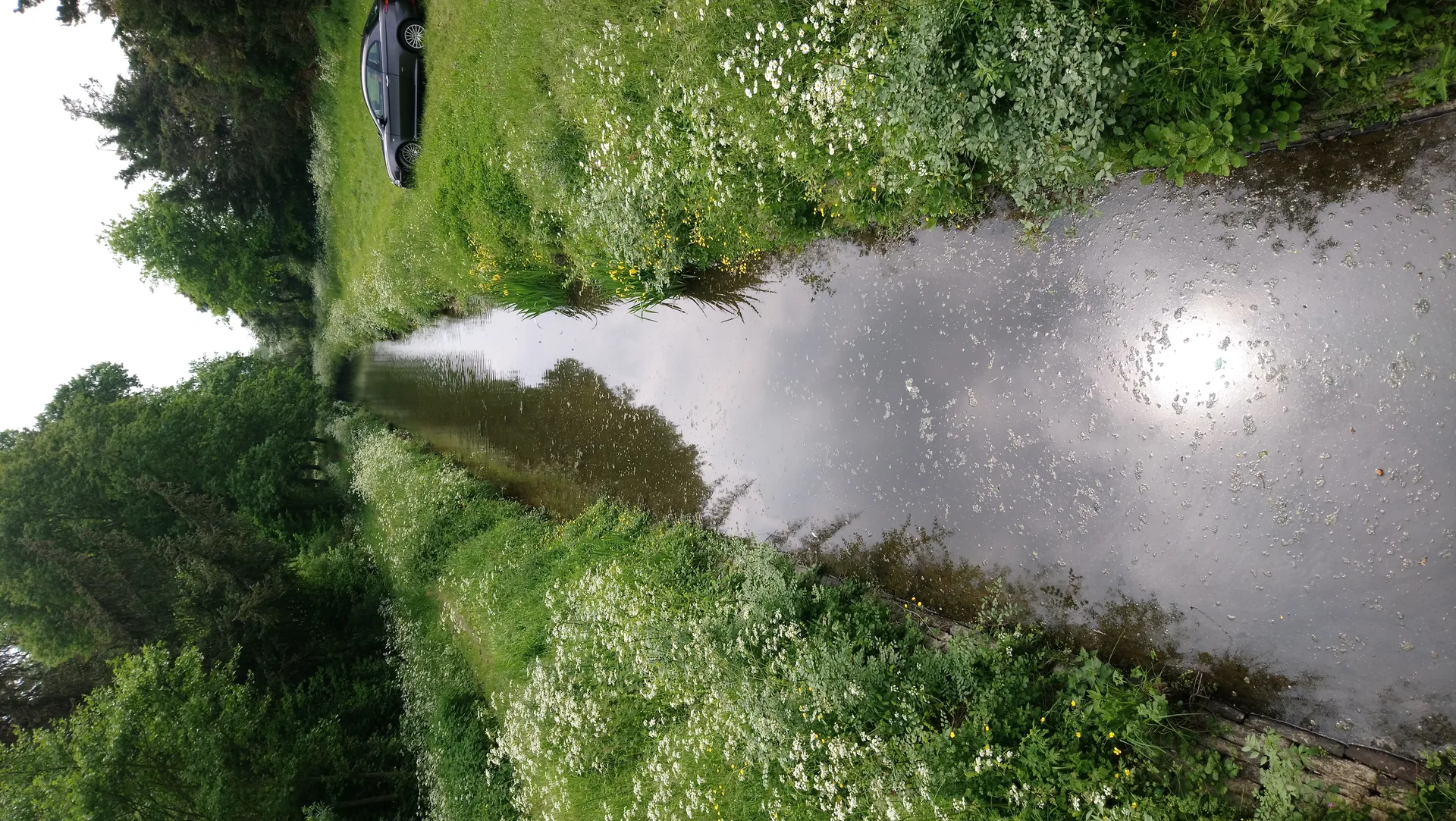 Etang de la Poitevinière à Riaillé — À 2,1 km du lac