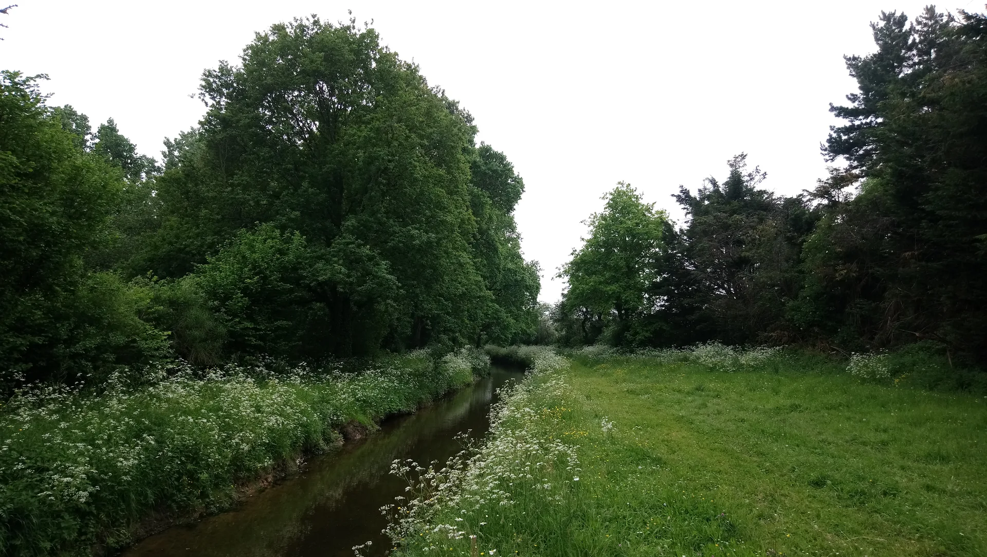 Etang de la Provostiere à Riaillé — Sur le lac