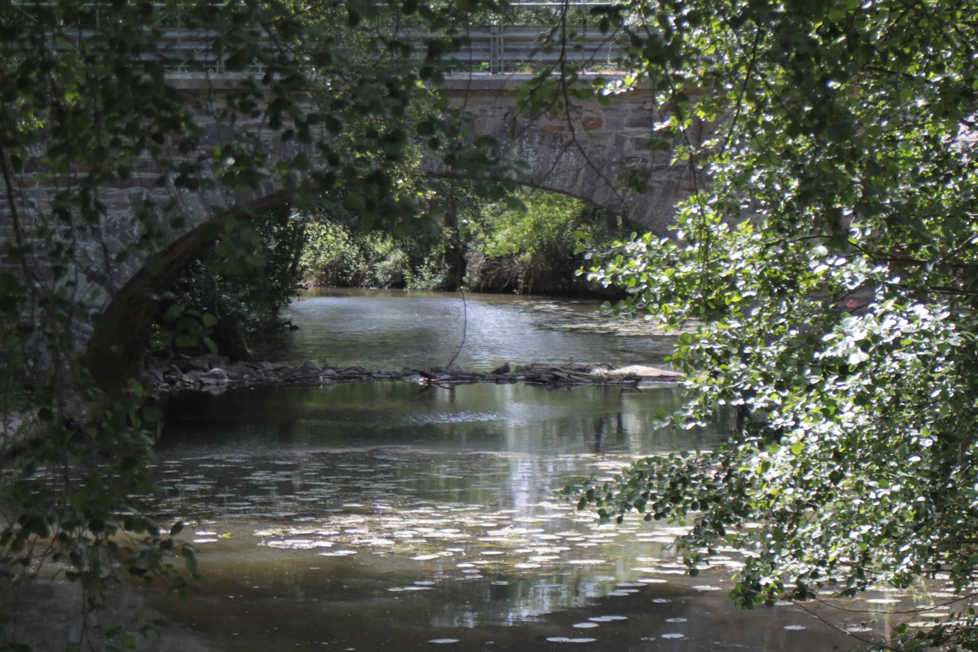Etang de la Provostiere à Riaillé — À 4,4 km du lac
