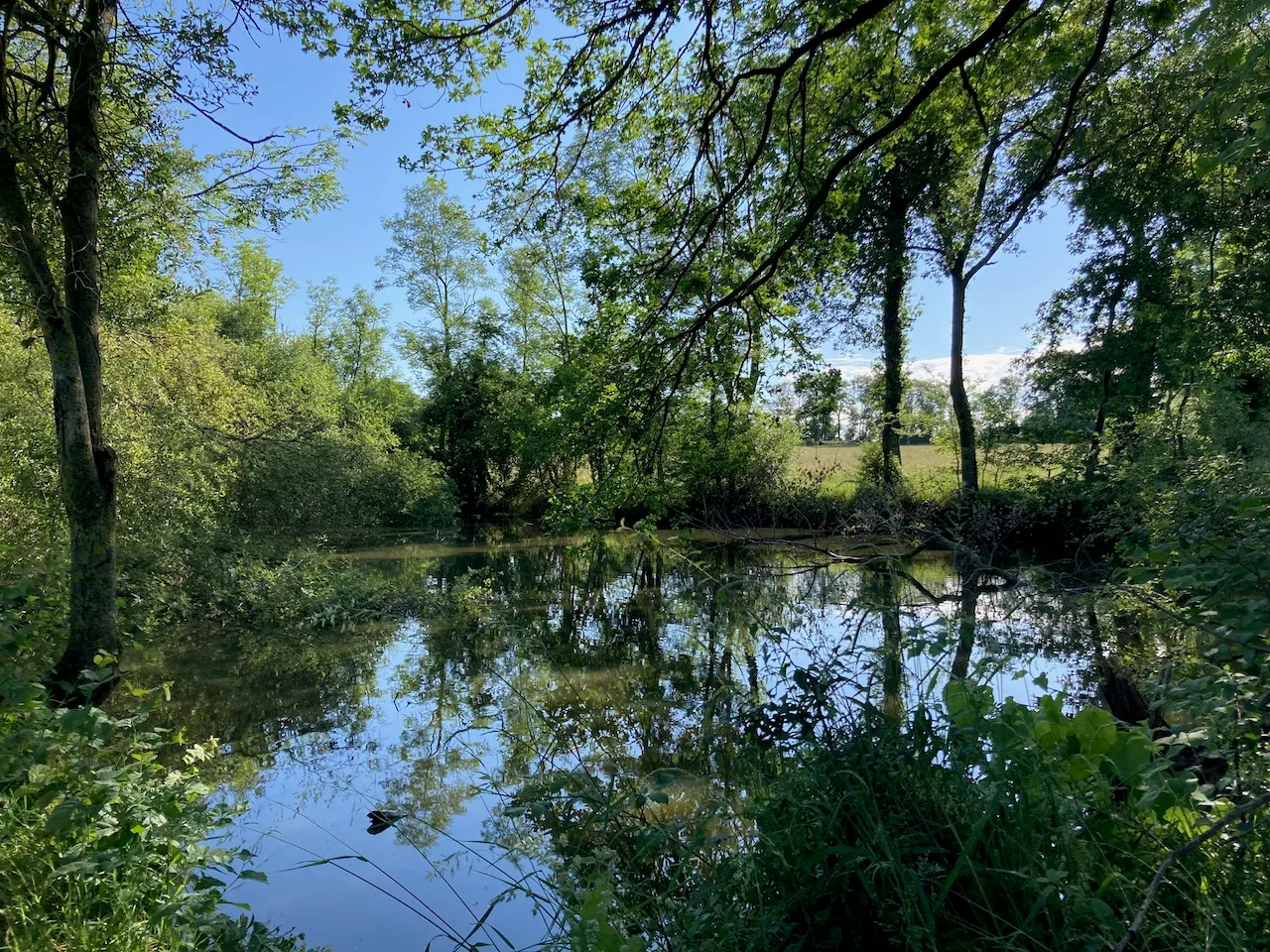 Etang de La Reyberie à Chambon-sur-Voueize — À 1,4 km du lac