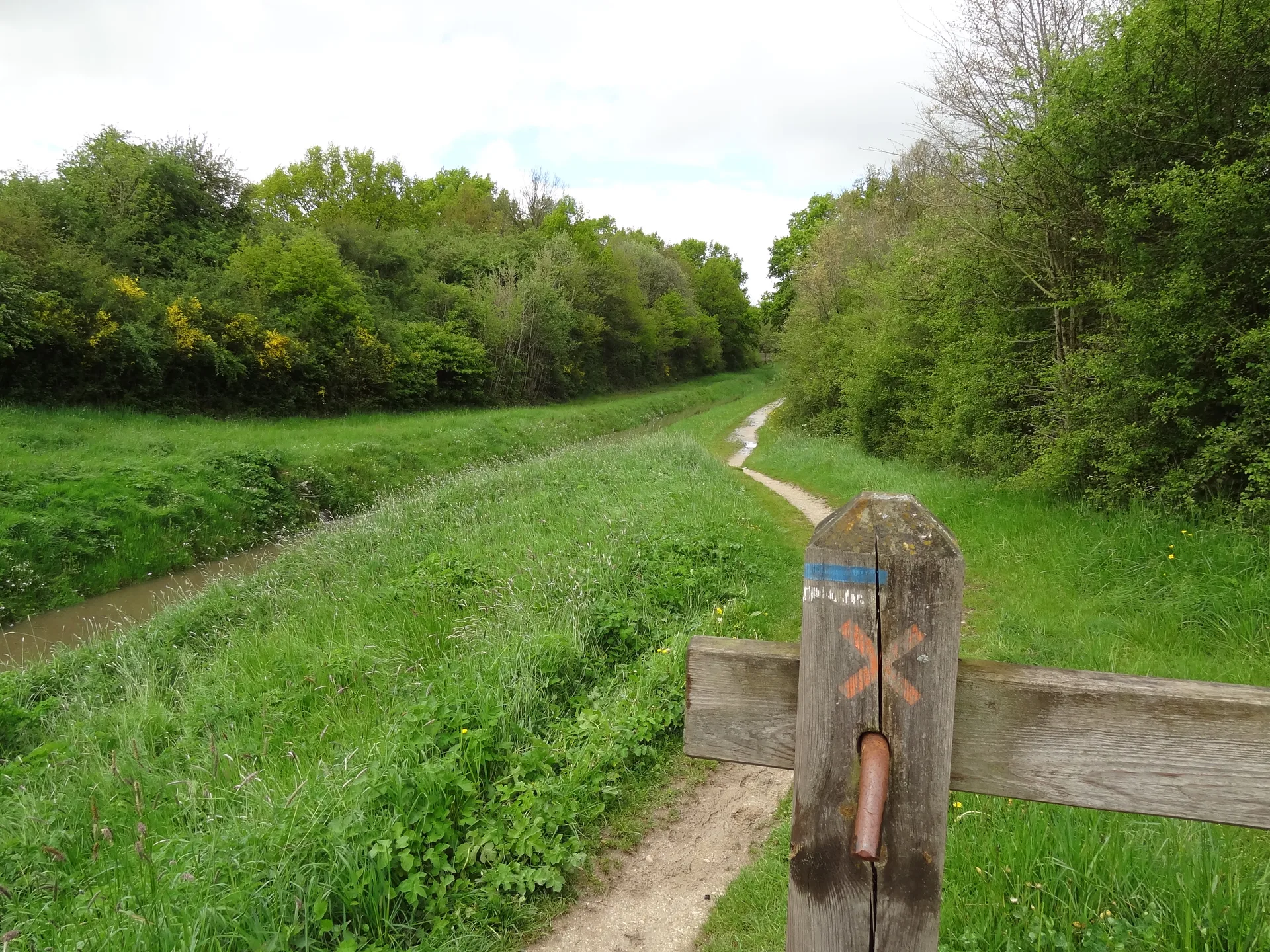 Etang de la Tour à Vieille-Église-en-Yvelines — À 2,3 km du lac