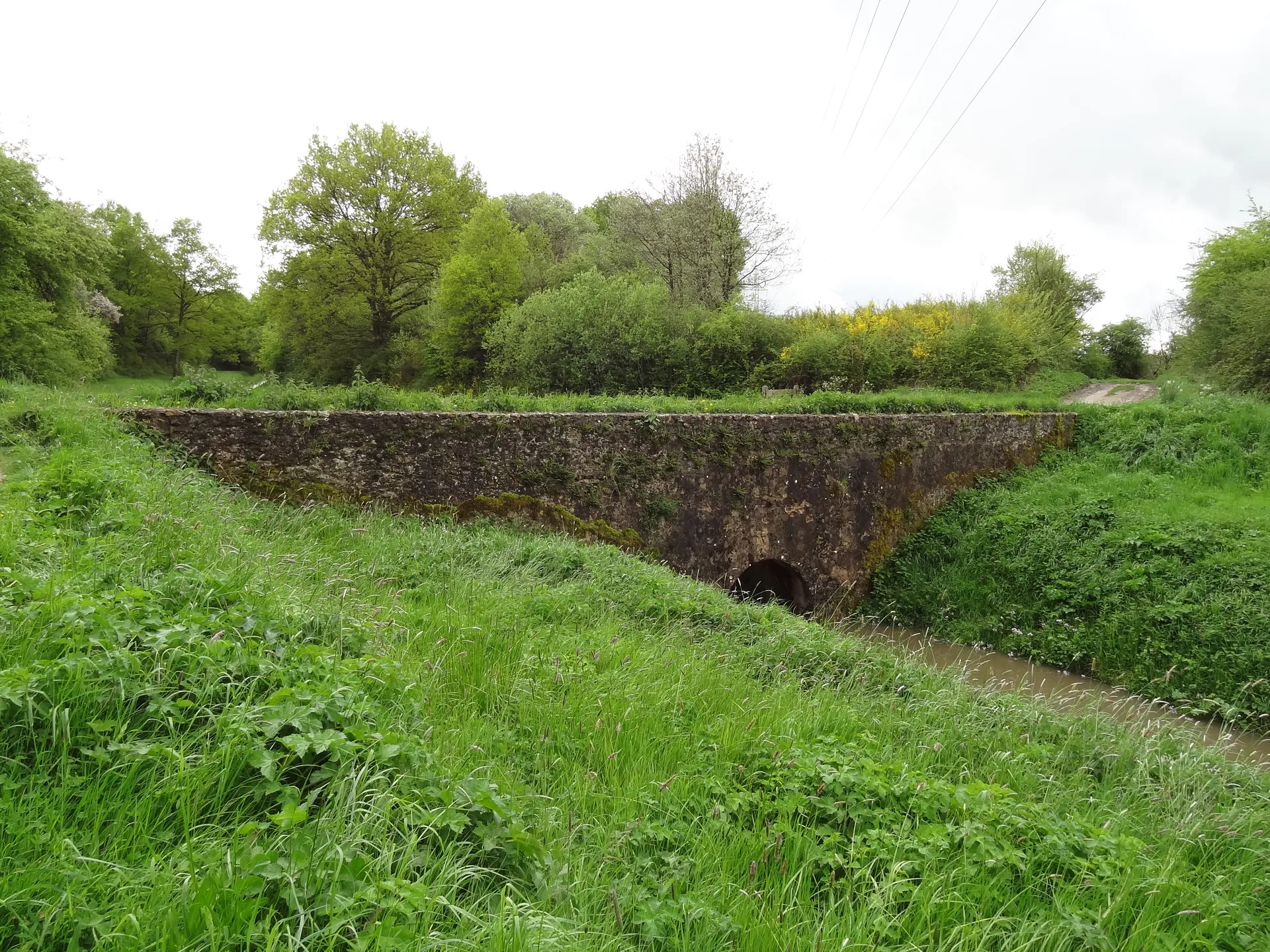Etang de la Tour à Vieille-Église-en-Yvelines — À 2,3 km du lac