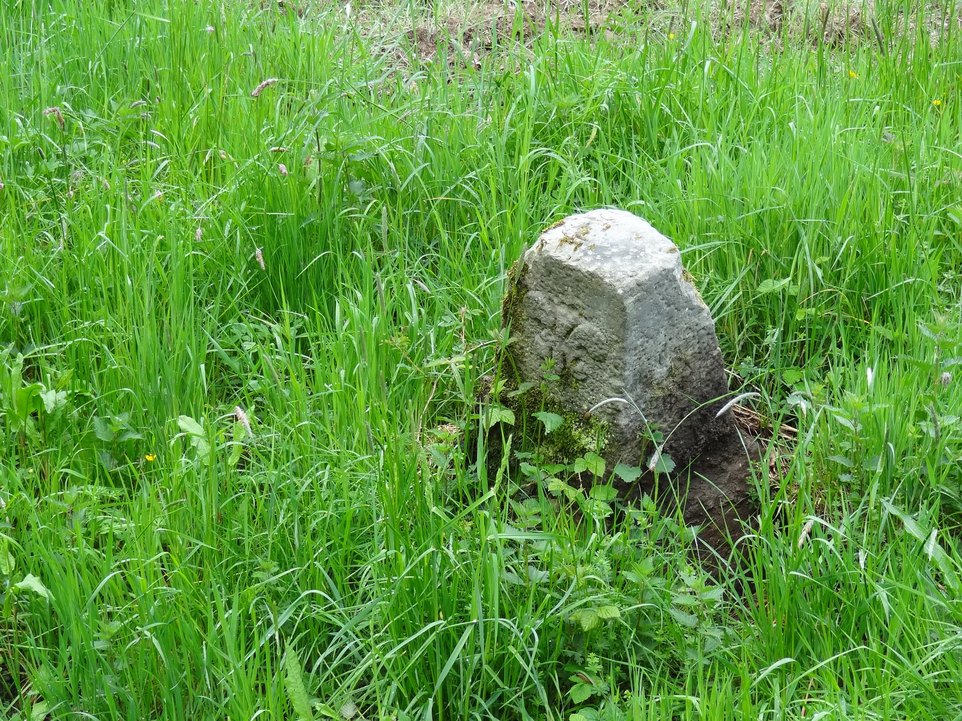 Etang de la Tour à Vieille-Église-en-Yvelines — À 2,6 km du lac