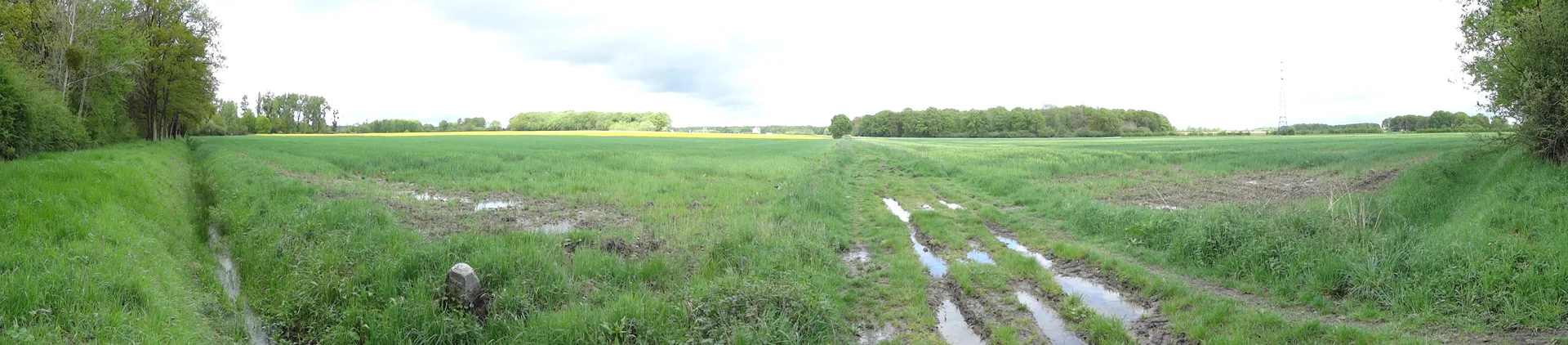 Etang de la Tour à Vieille-Église-en-Yvelines — À 2,6 km du lac